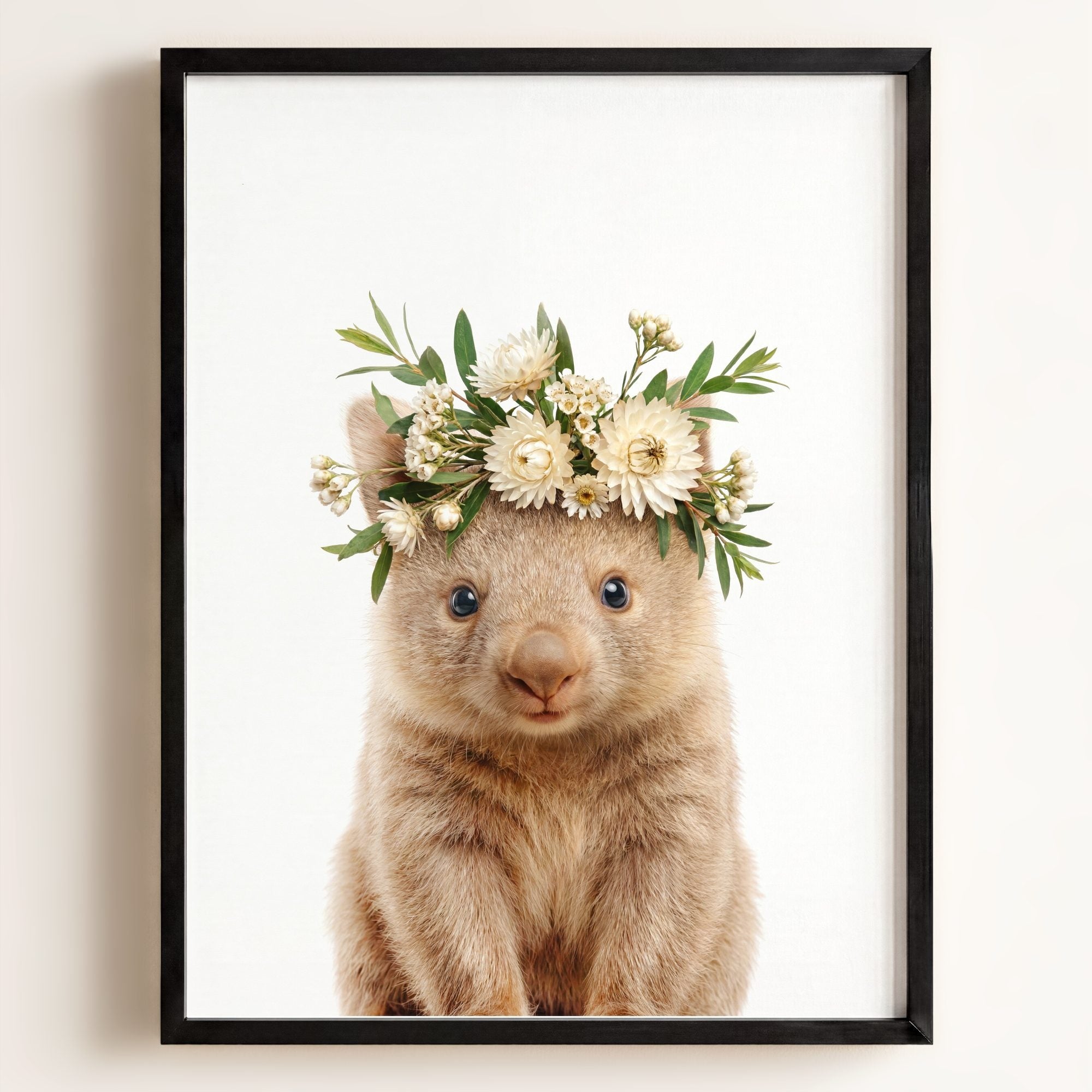 Baby Wombat