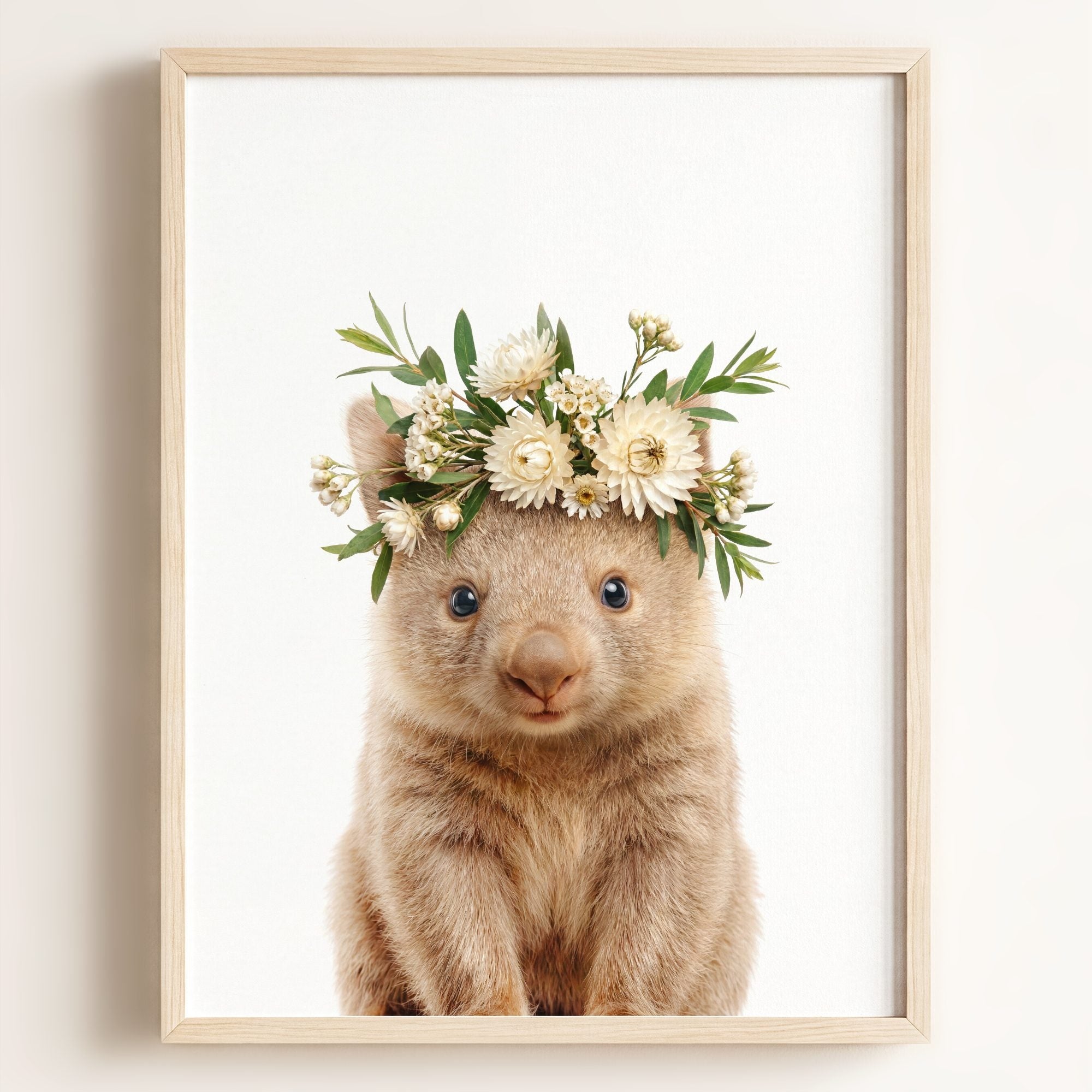 Baby Wombat