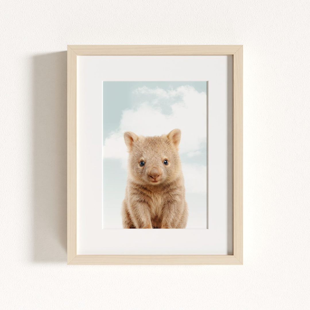 Baby Wombat