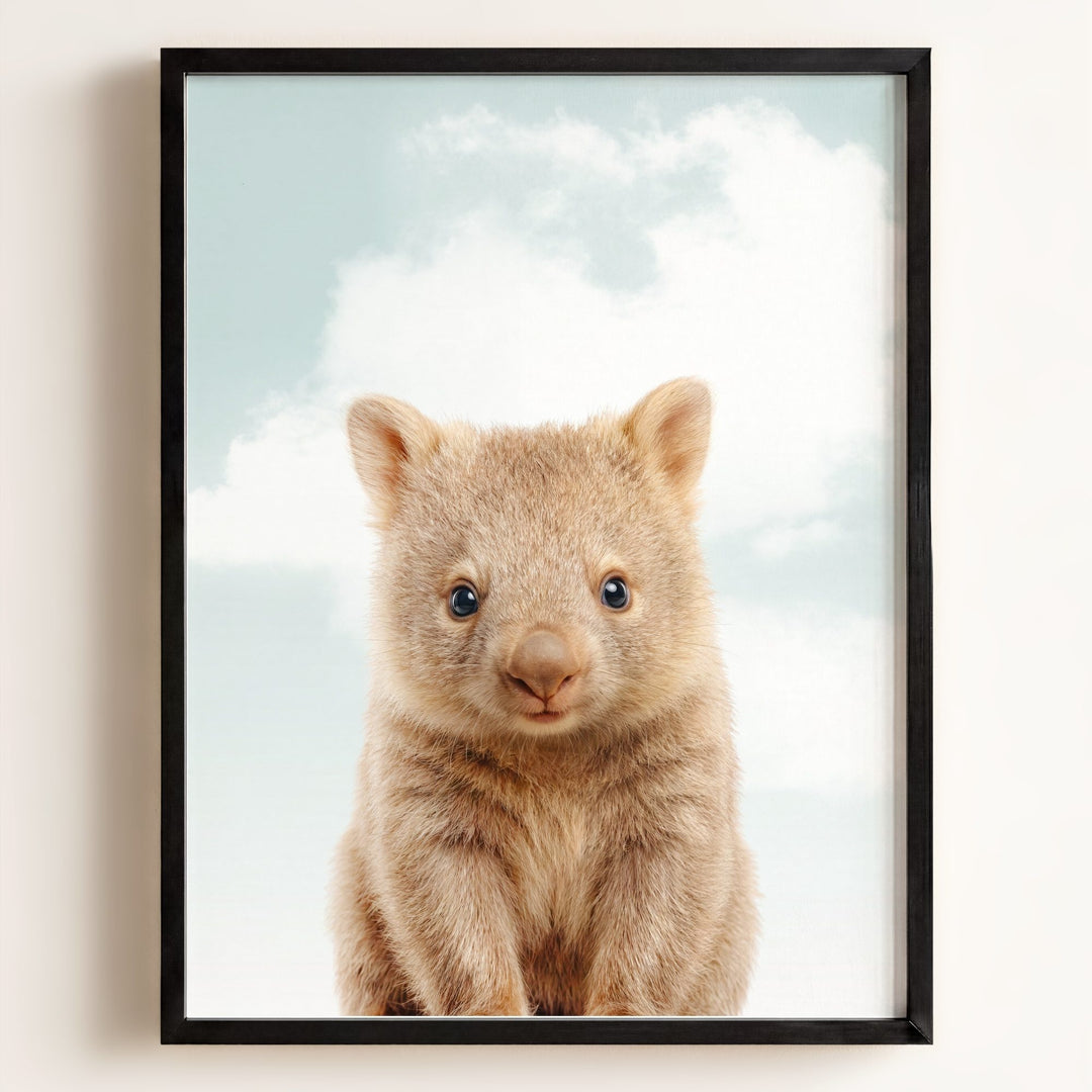 Baby Wombat
