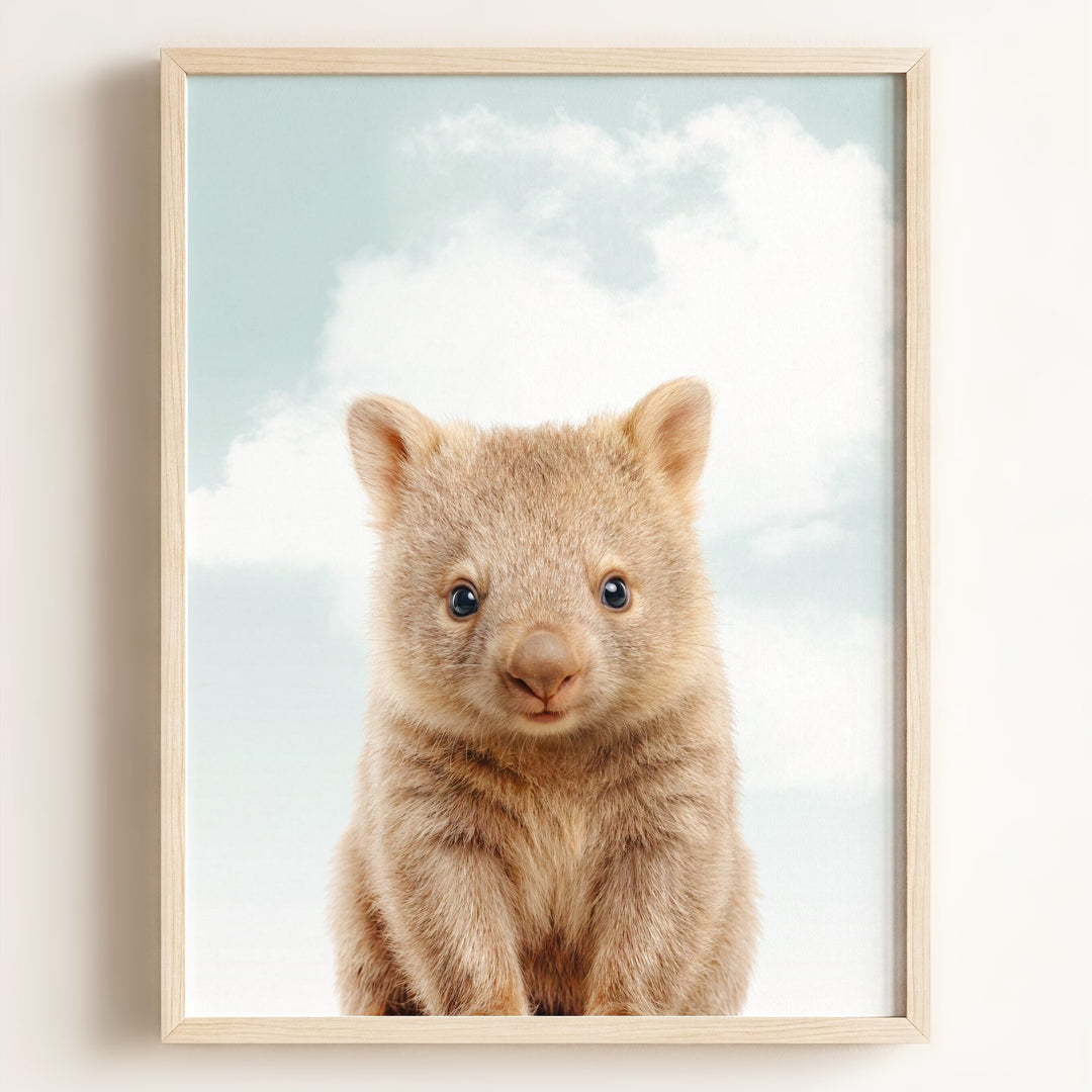 Baby Wombat