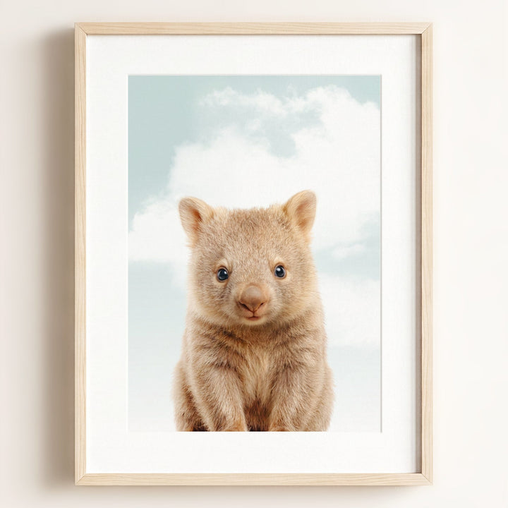Baby Wombat