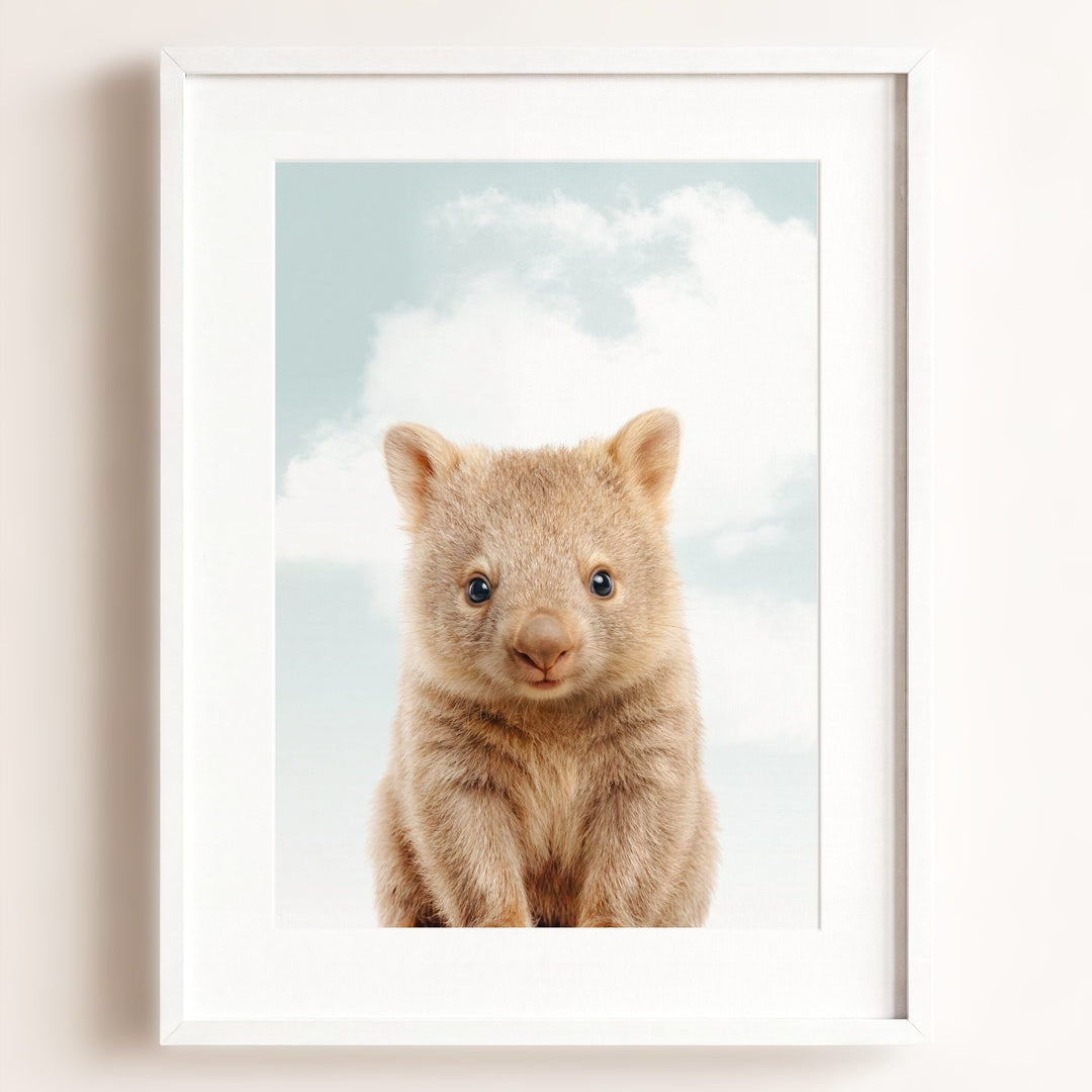 Baby Wombat