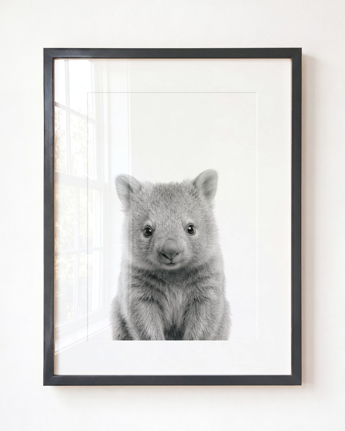 Baby Wombat