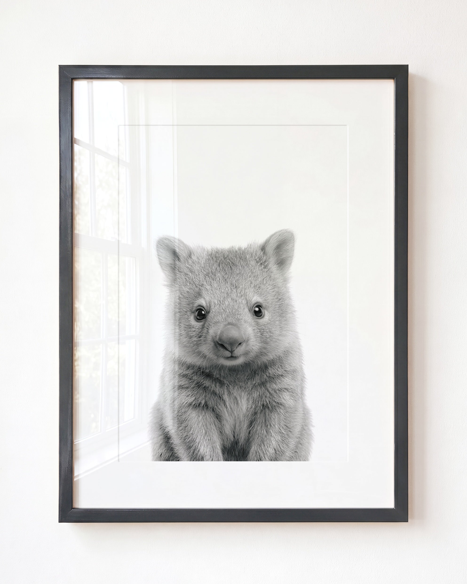 Baby Wombat