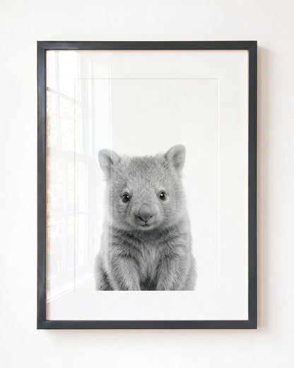 Baby Wombat