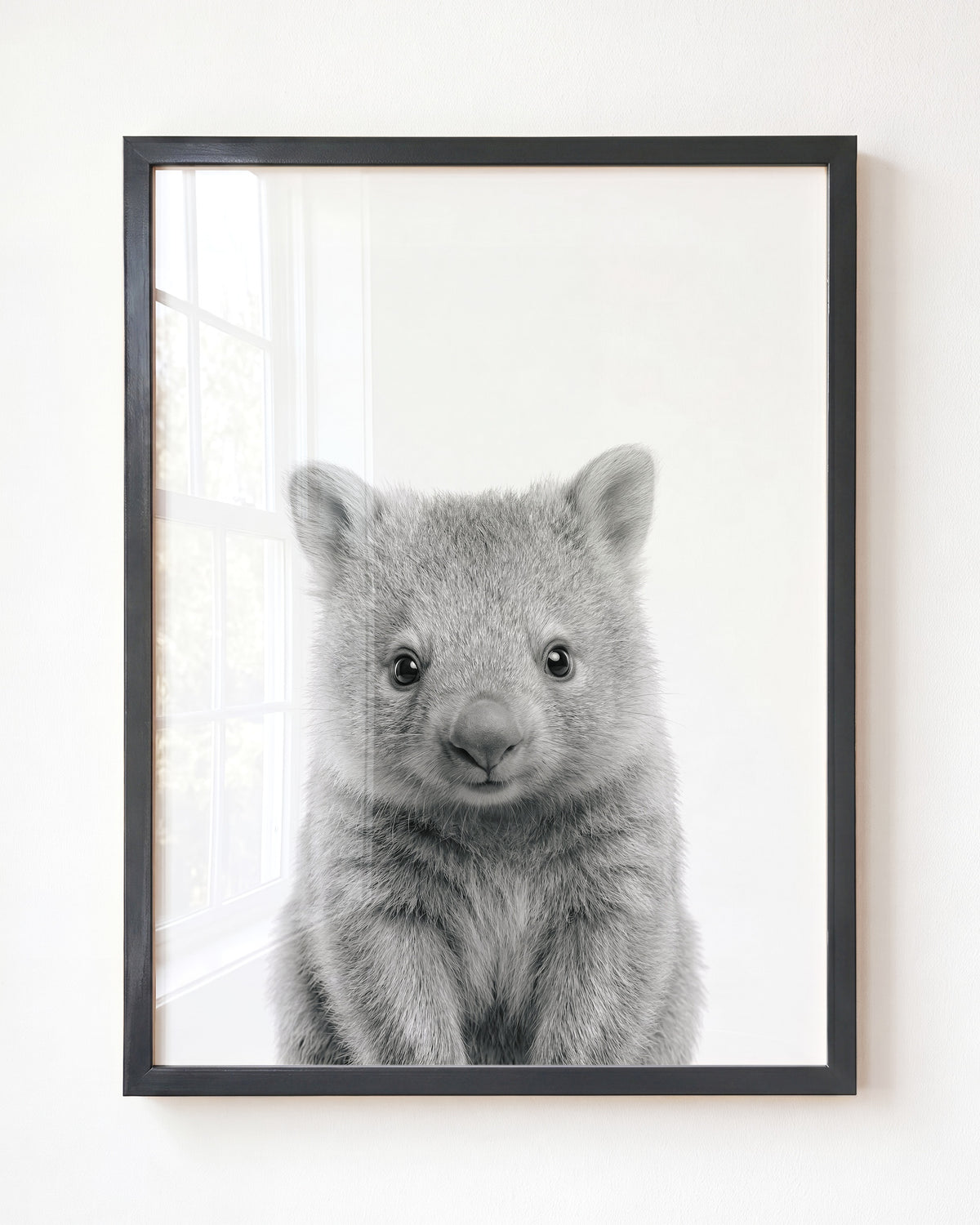 Baby Wombat