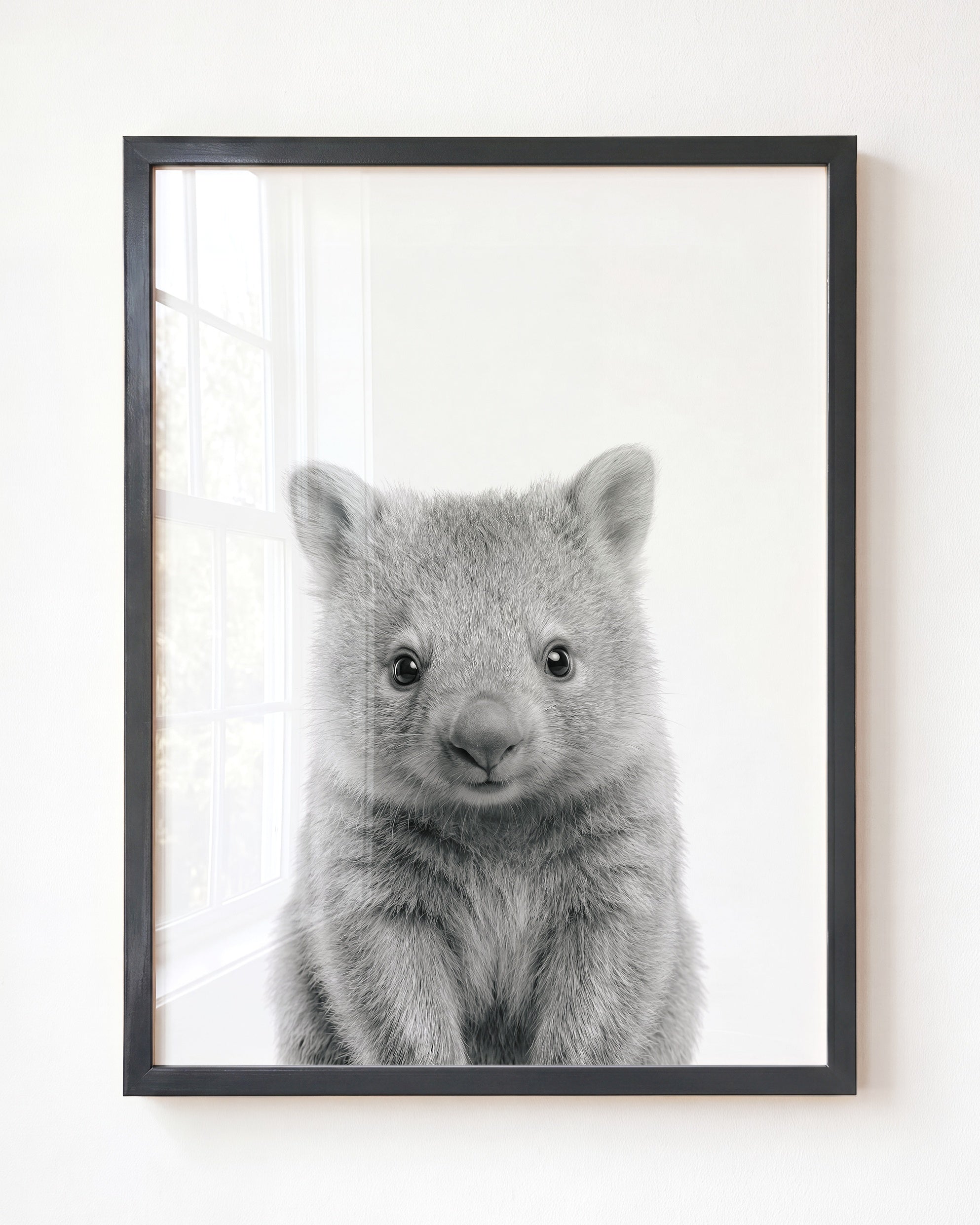 Baby Wombat