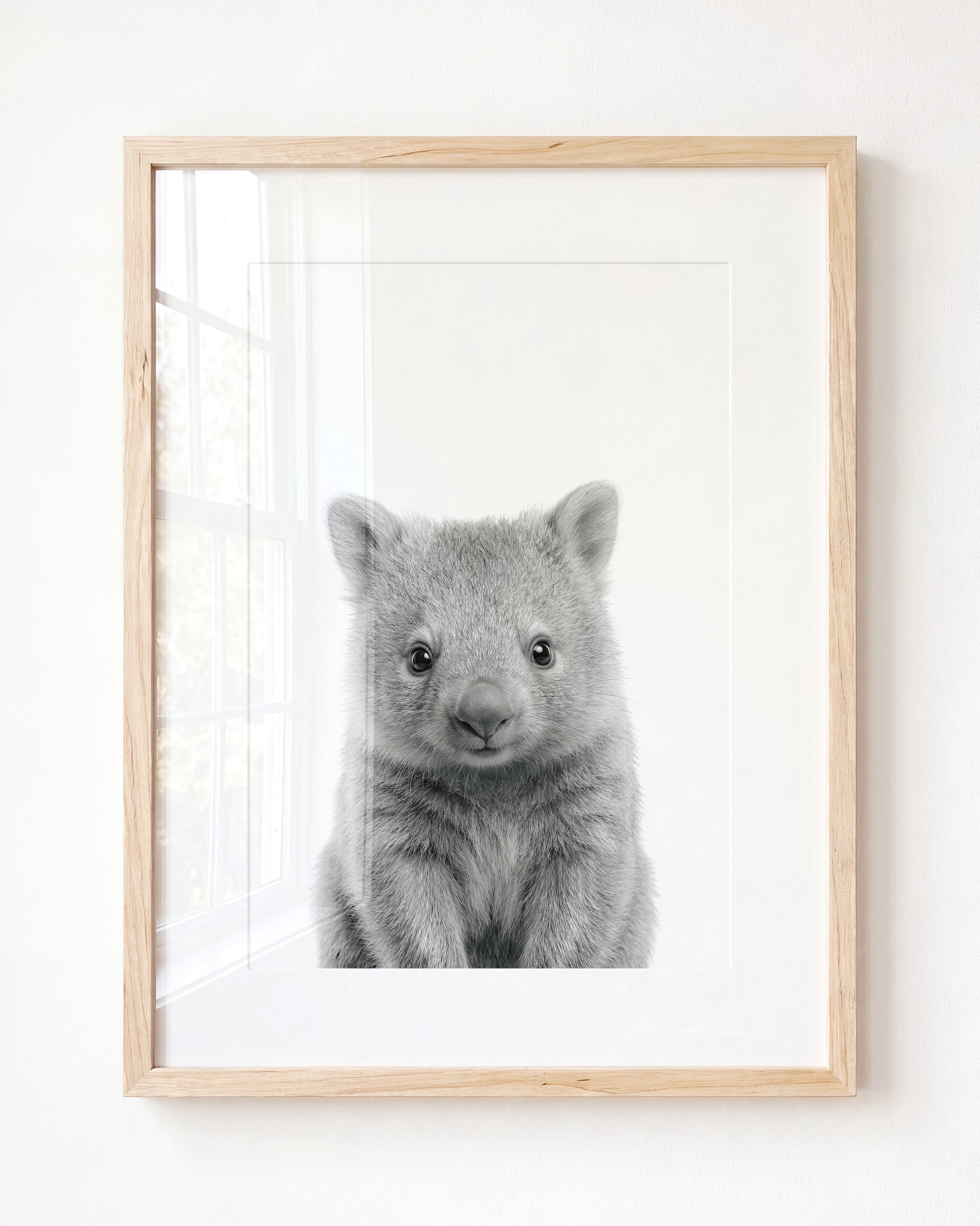 Baby Wombat