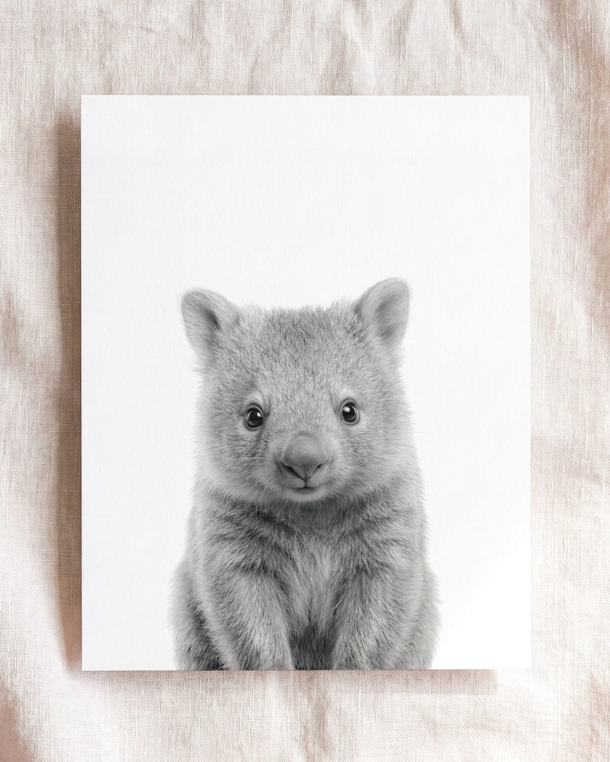Baby Wombat