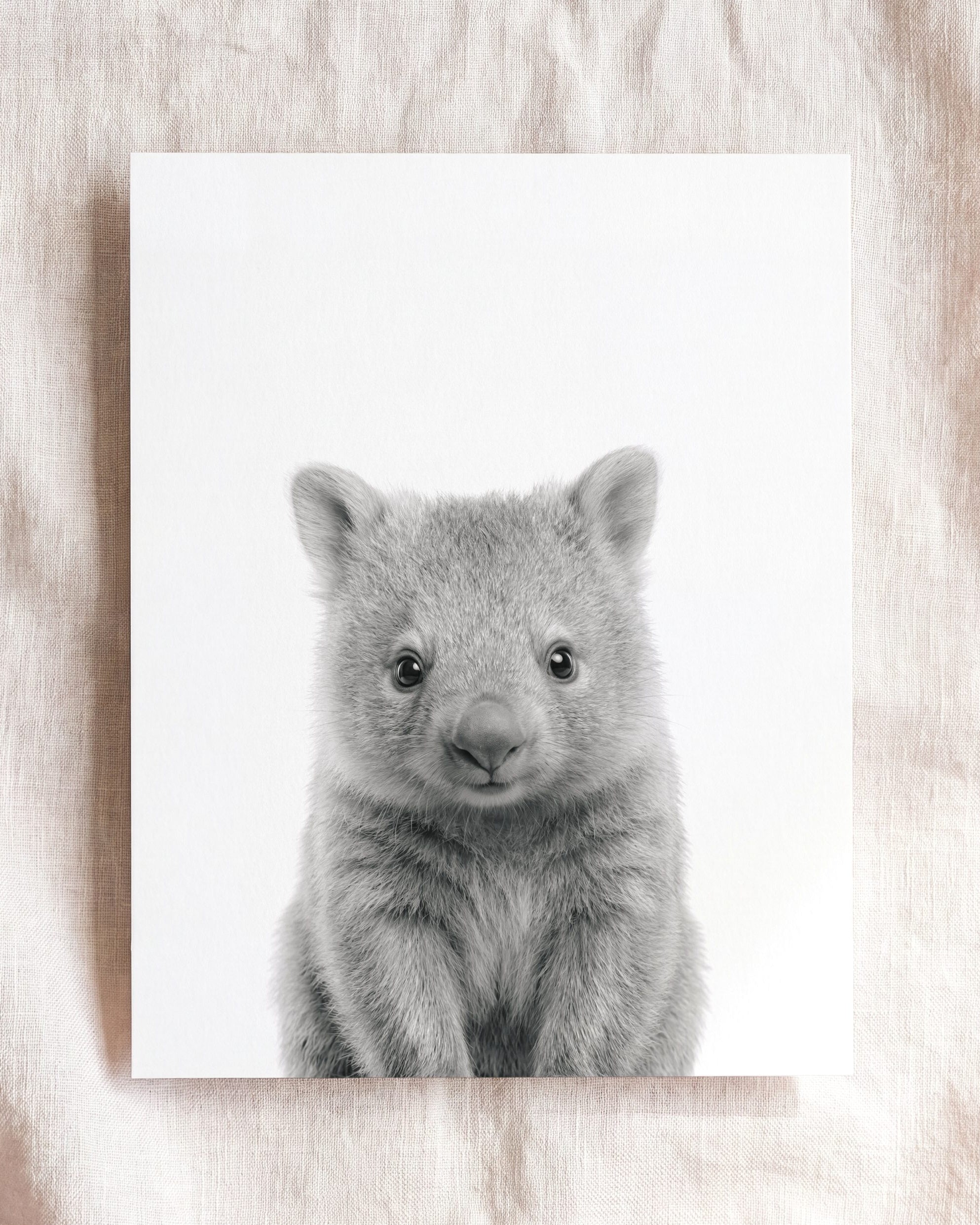 Baby Wombat