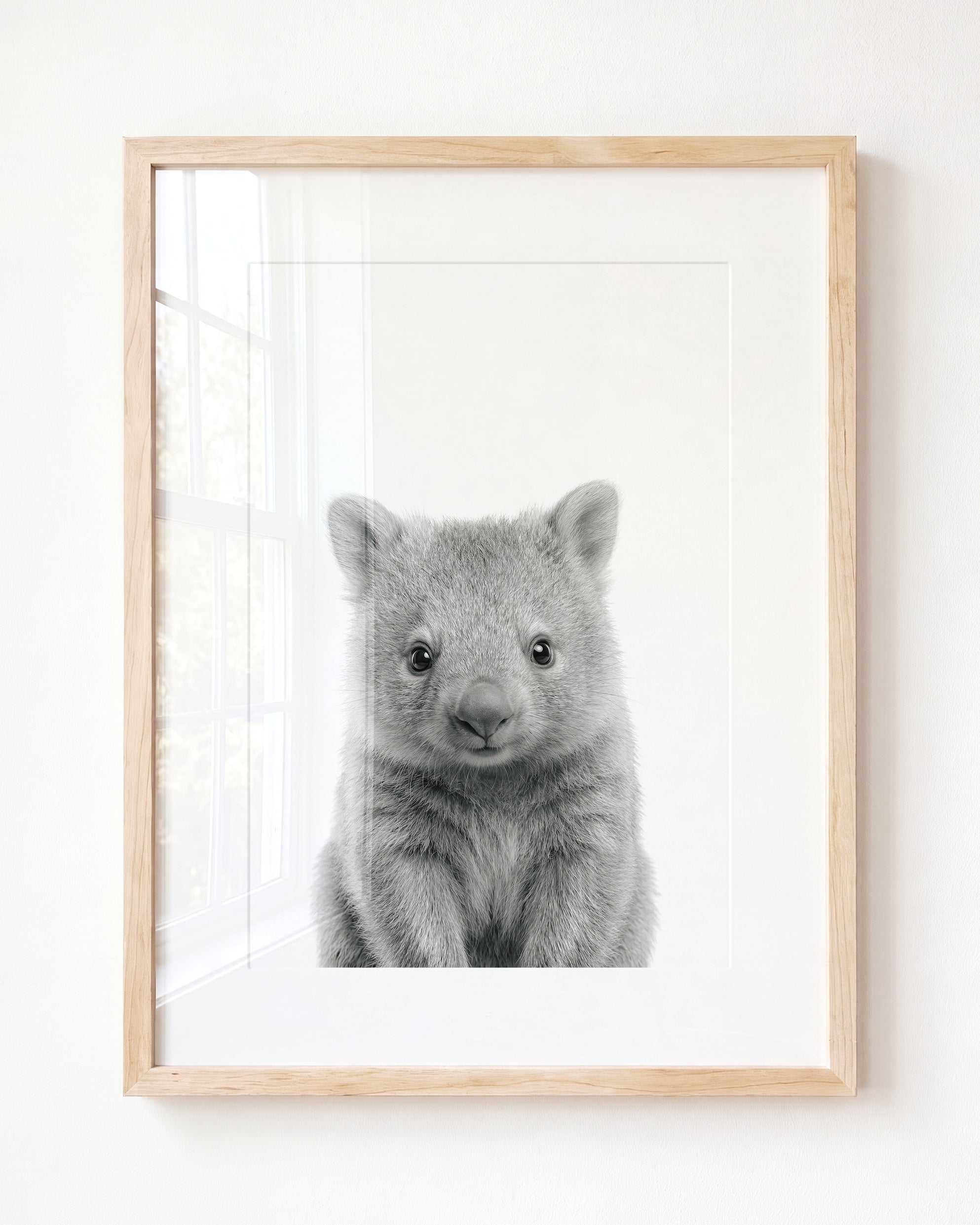 Baby Wombat