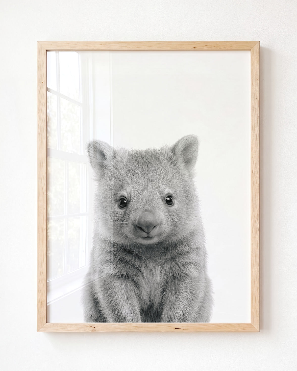 Baby Wombat