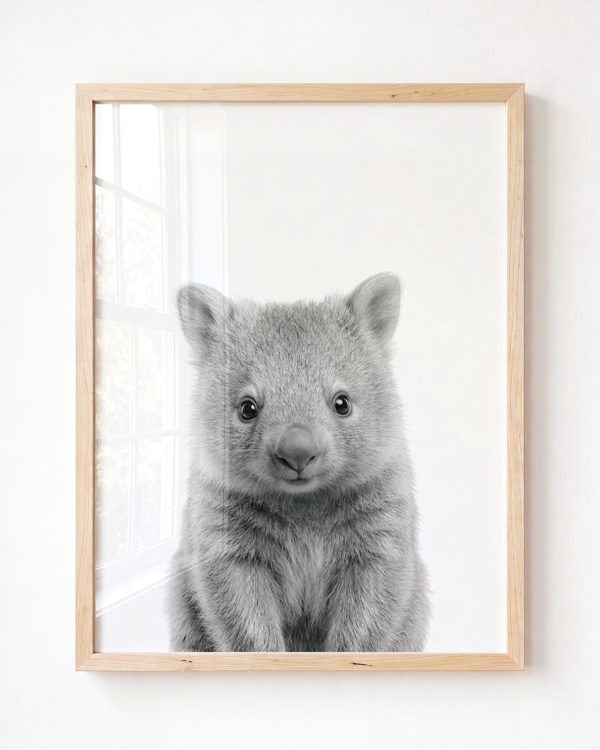 Baby Wombat