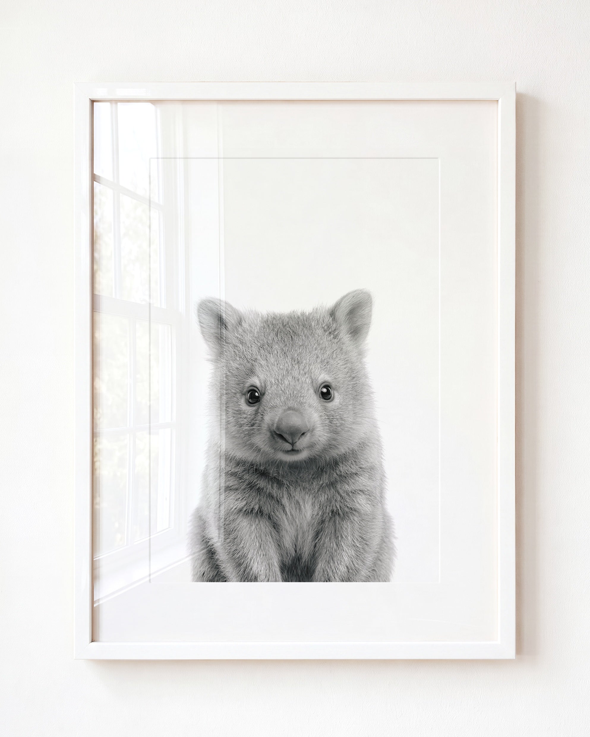 Baby Wombat