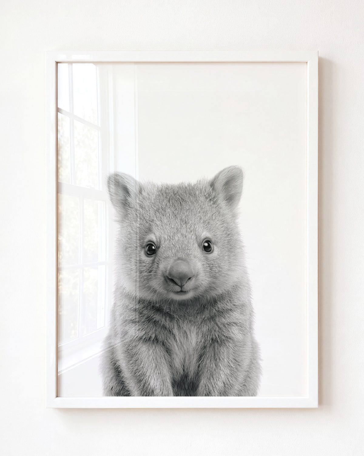 Baby Wombat