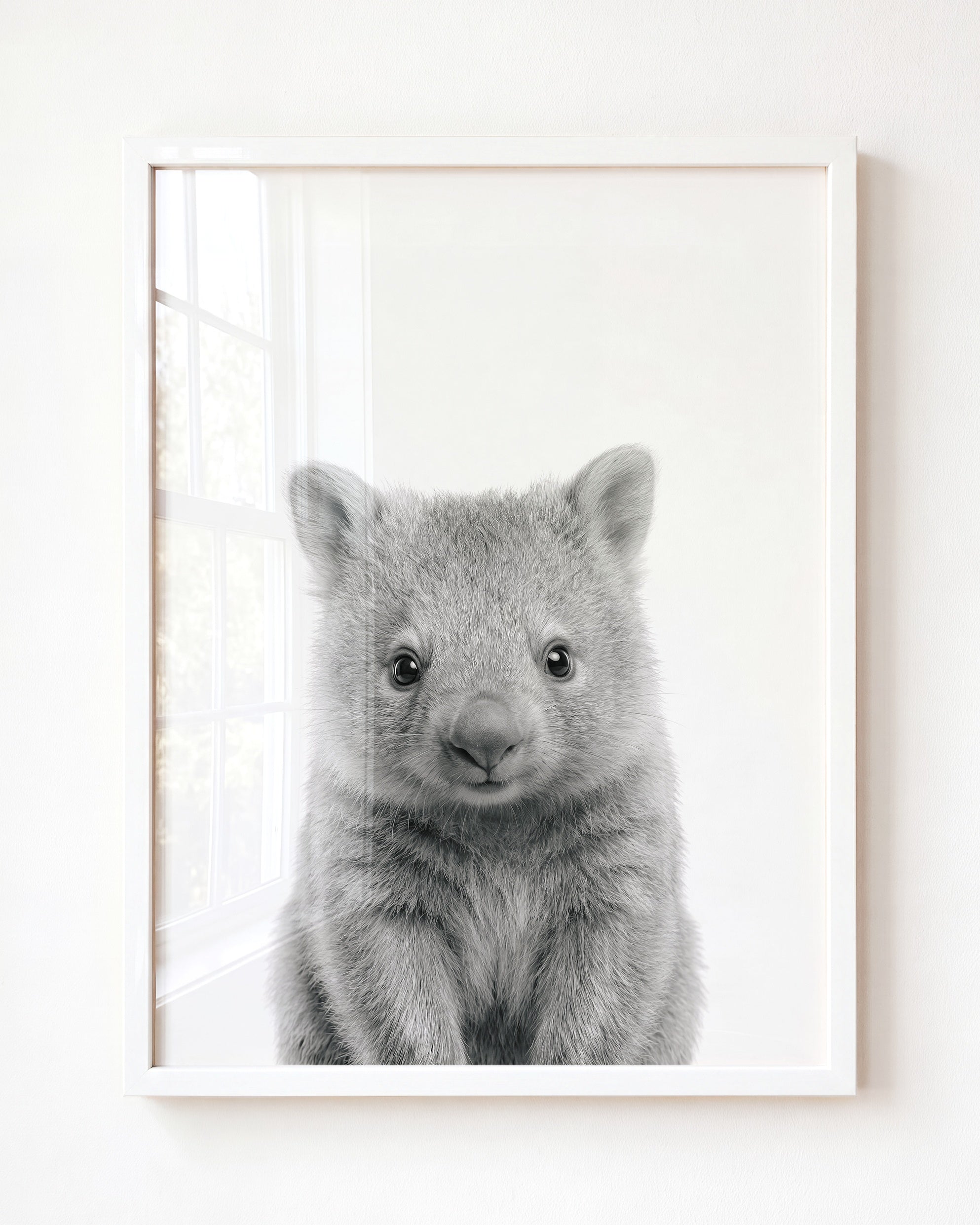 Baby Wombat