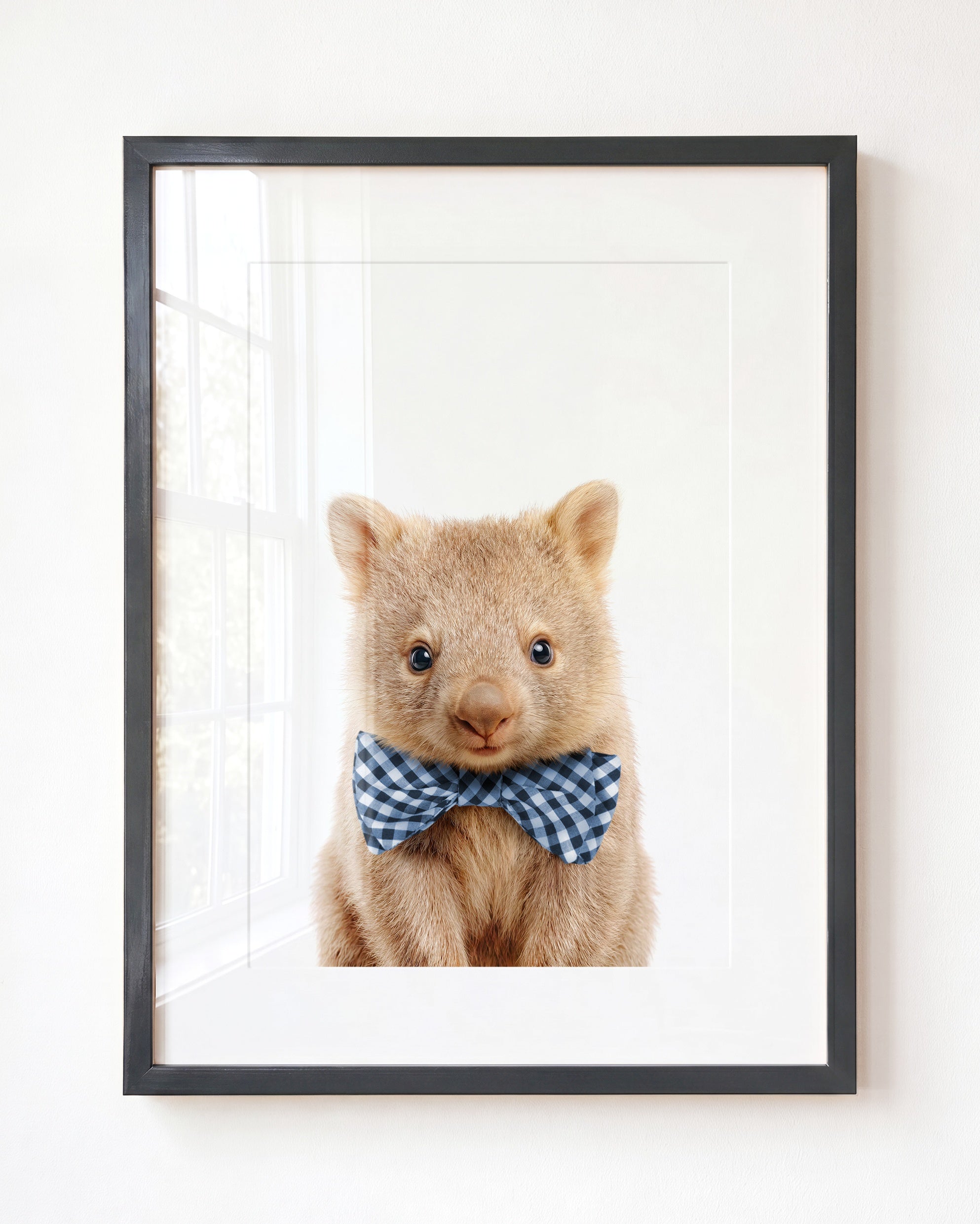 Baby Wombat