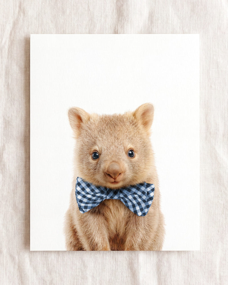 Bow Tie Cornflower