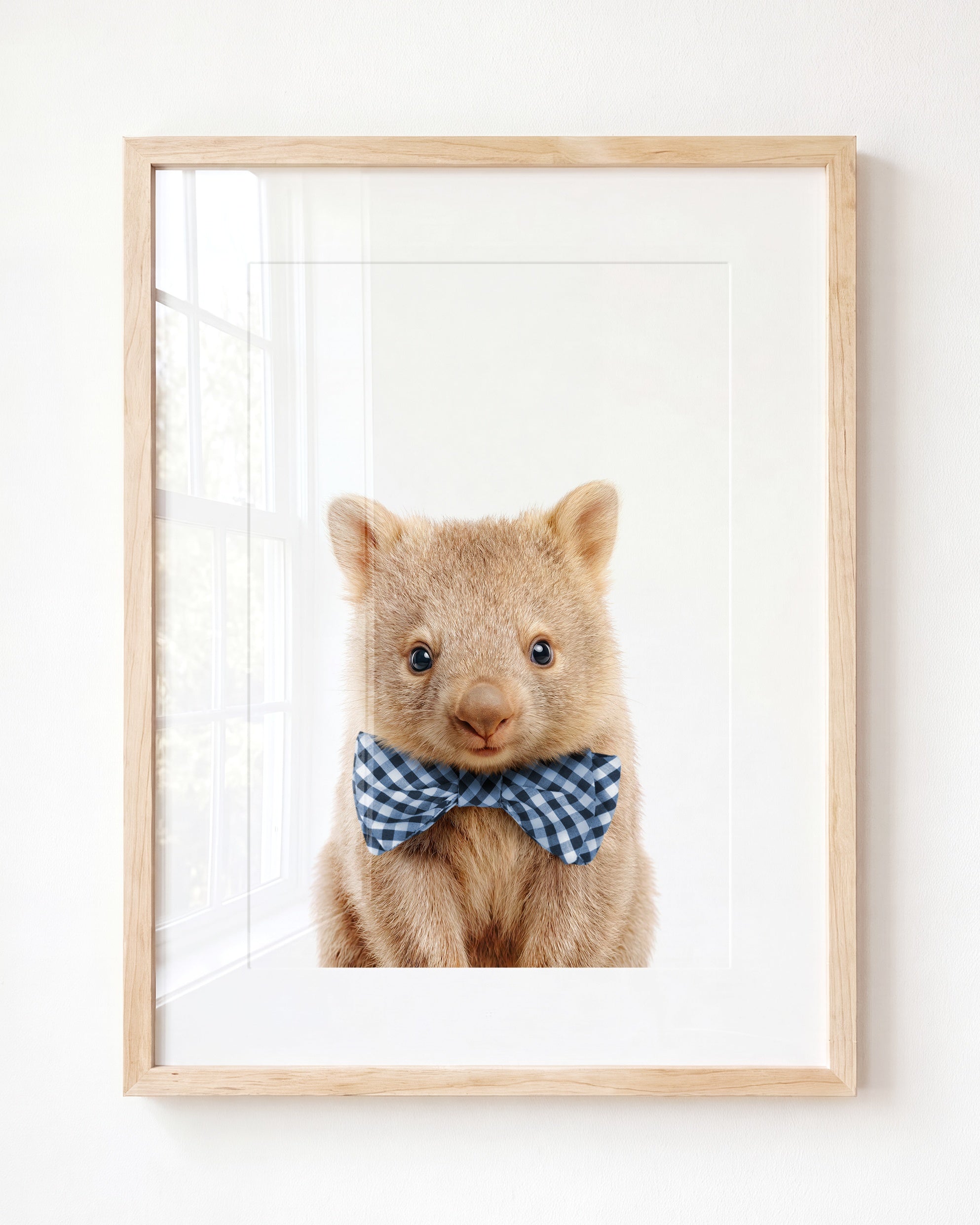 Baby Wombat
