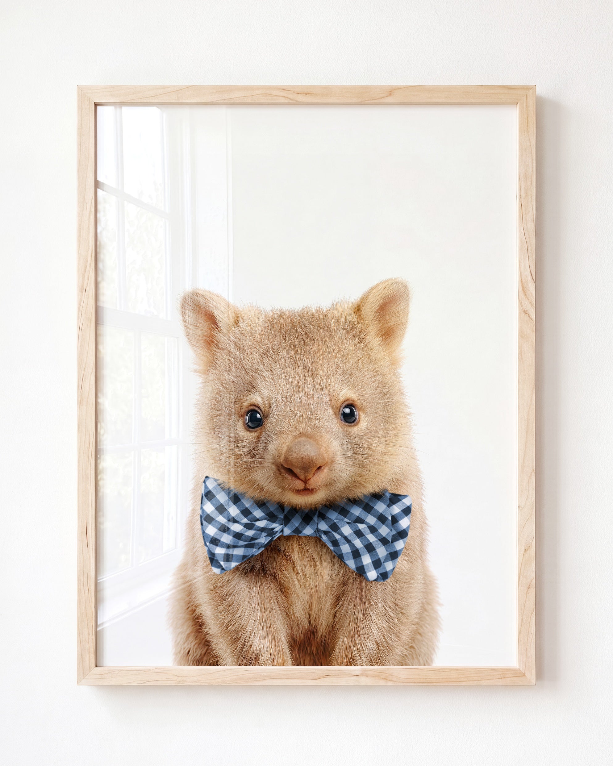 Baby Wombat