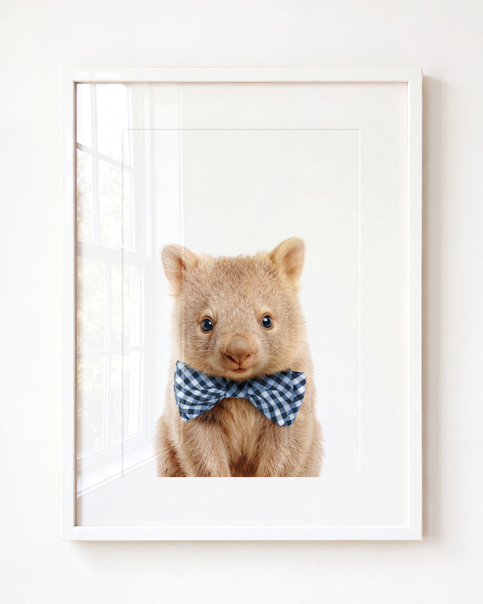 Baby Wombat