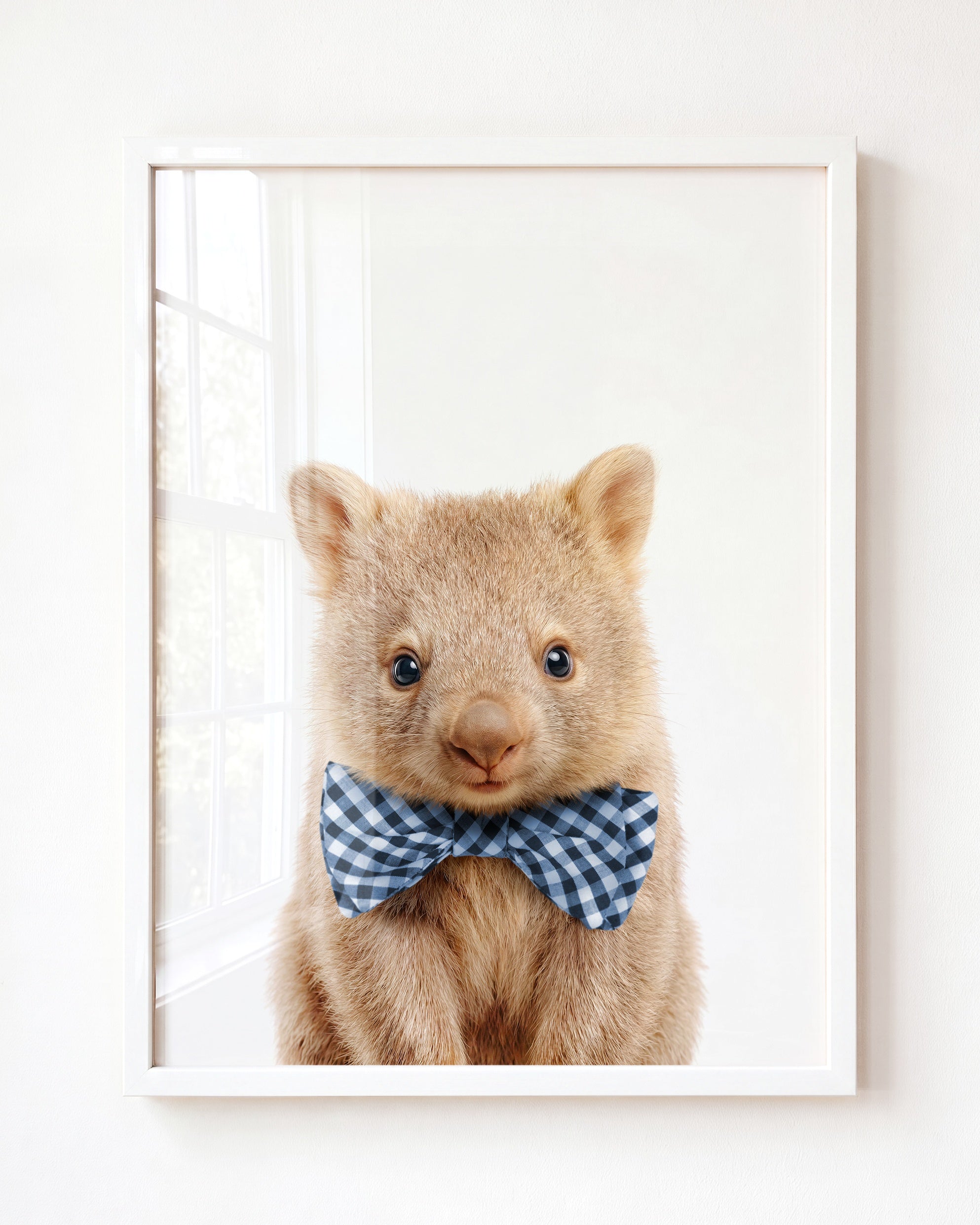 Baby Wombat