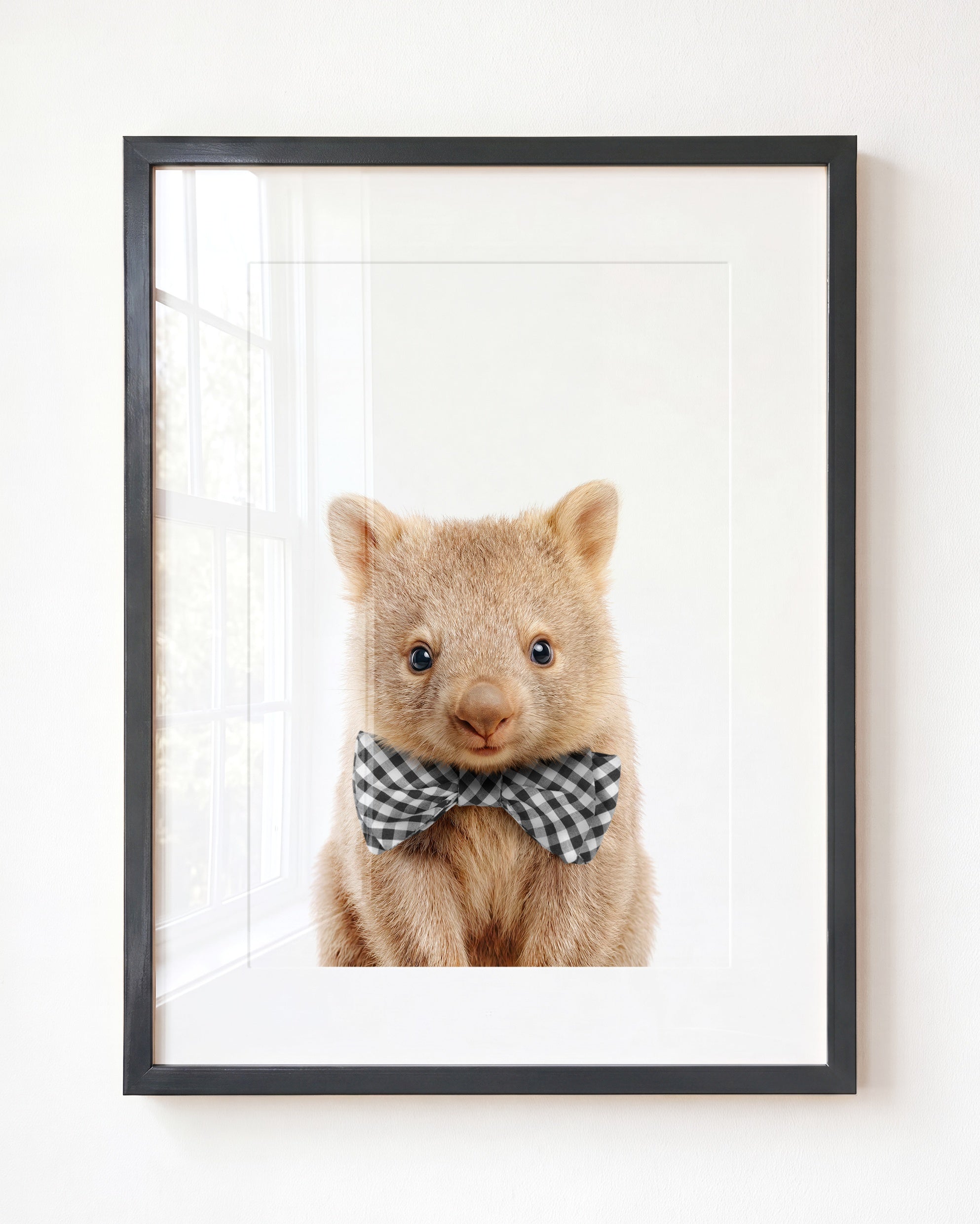 Baby Wombat