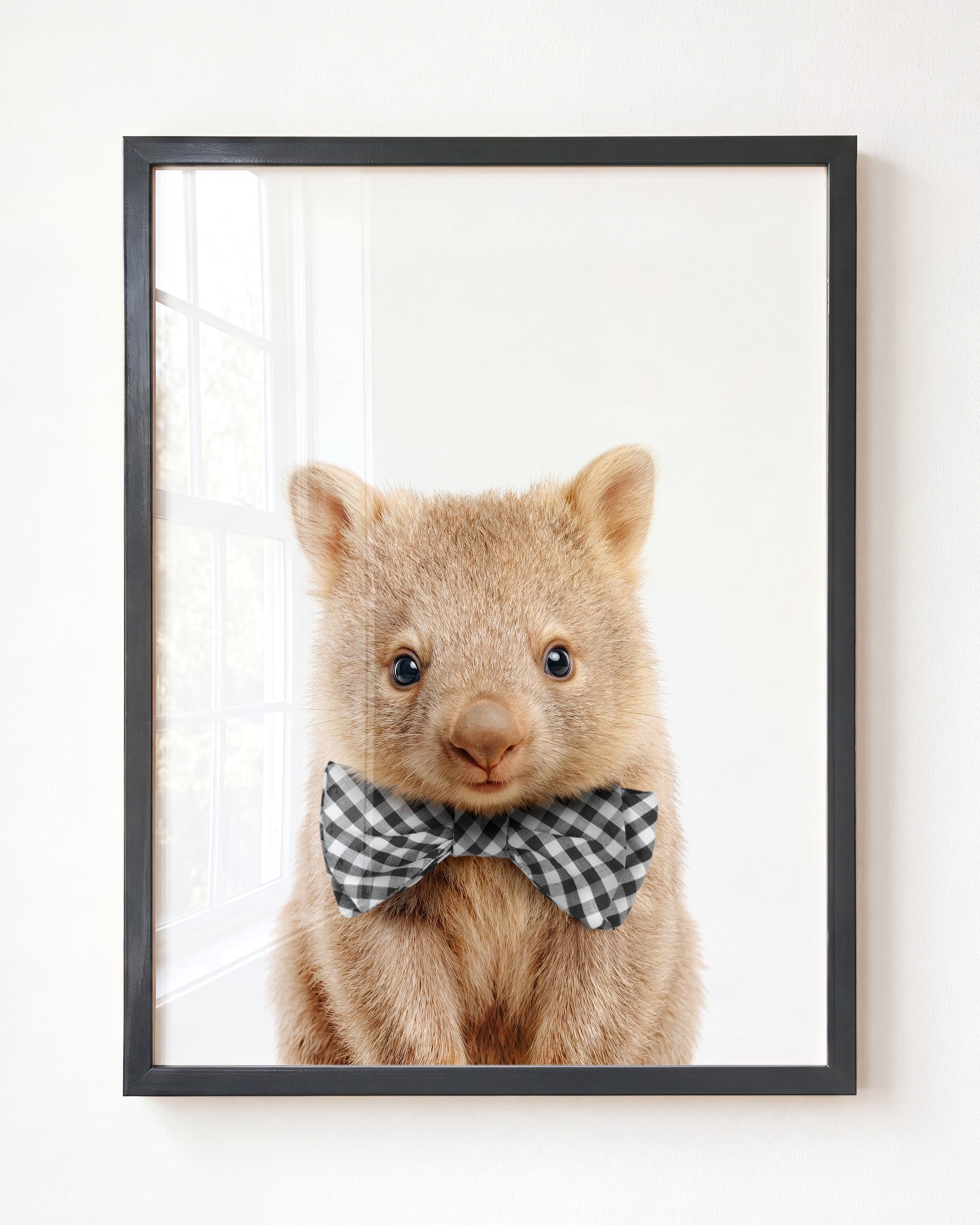 Baby Wombat