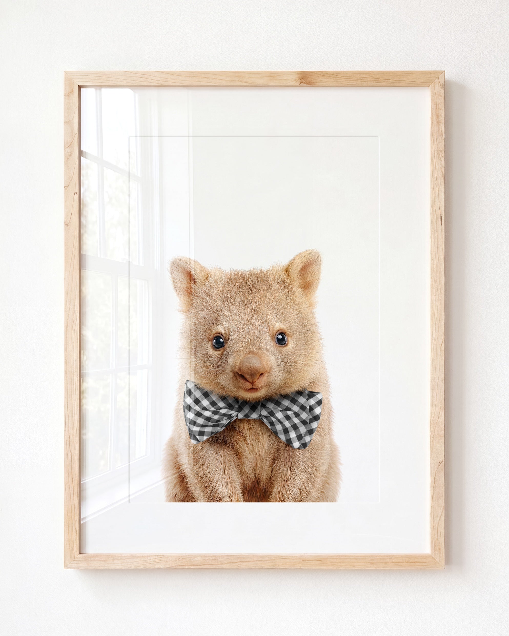 Baby Wombat