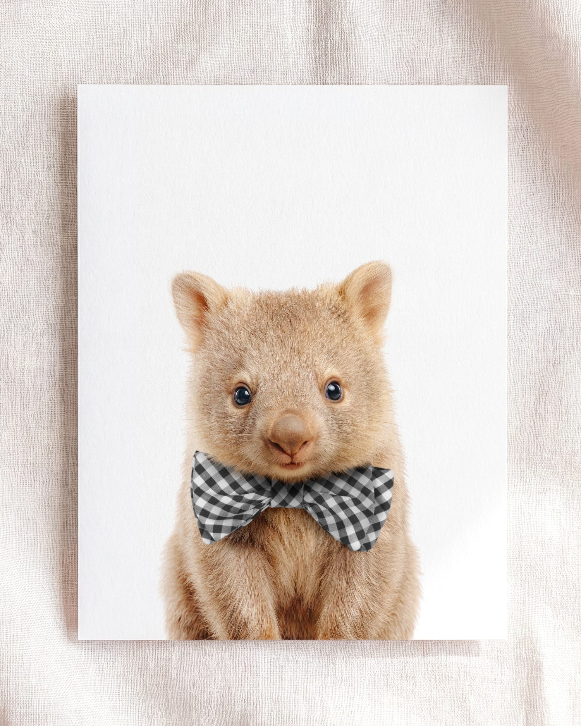 Baby Wombat