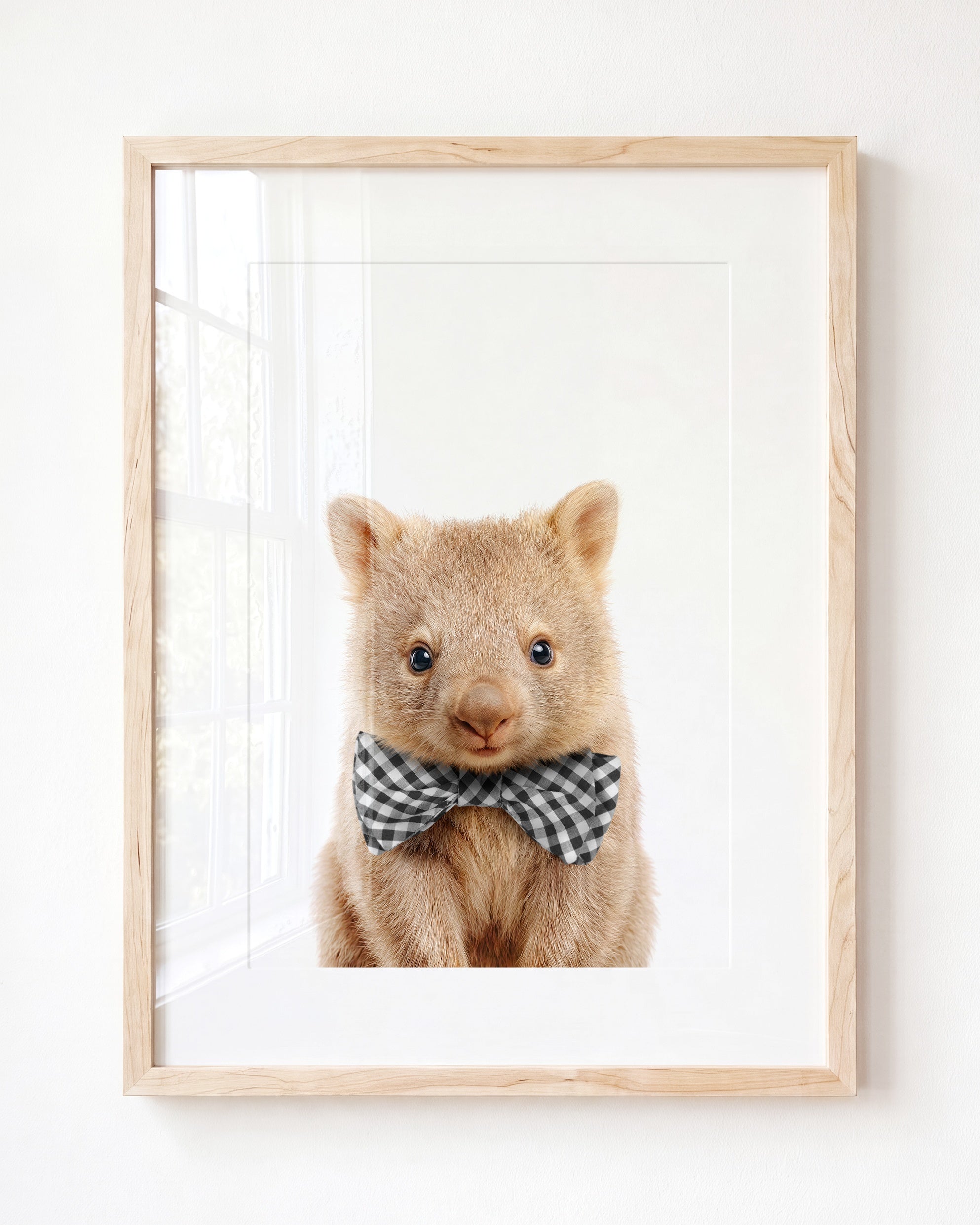 Baby Wombat