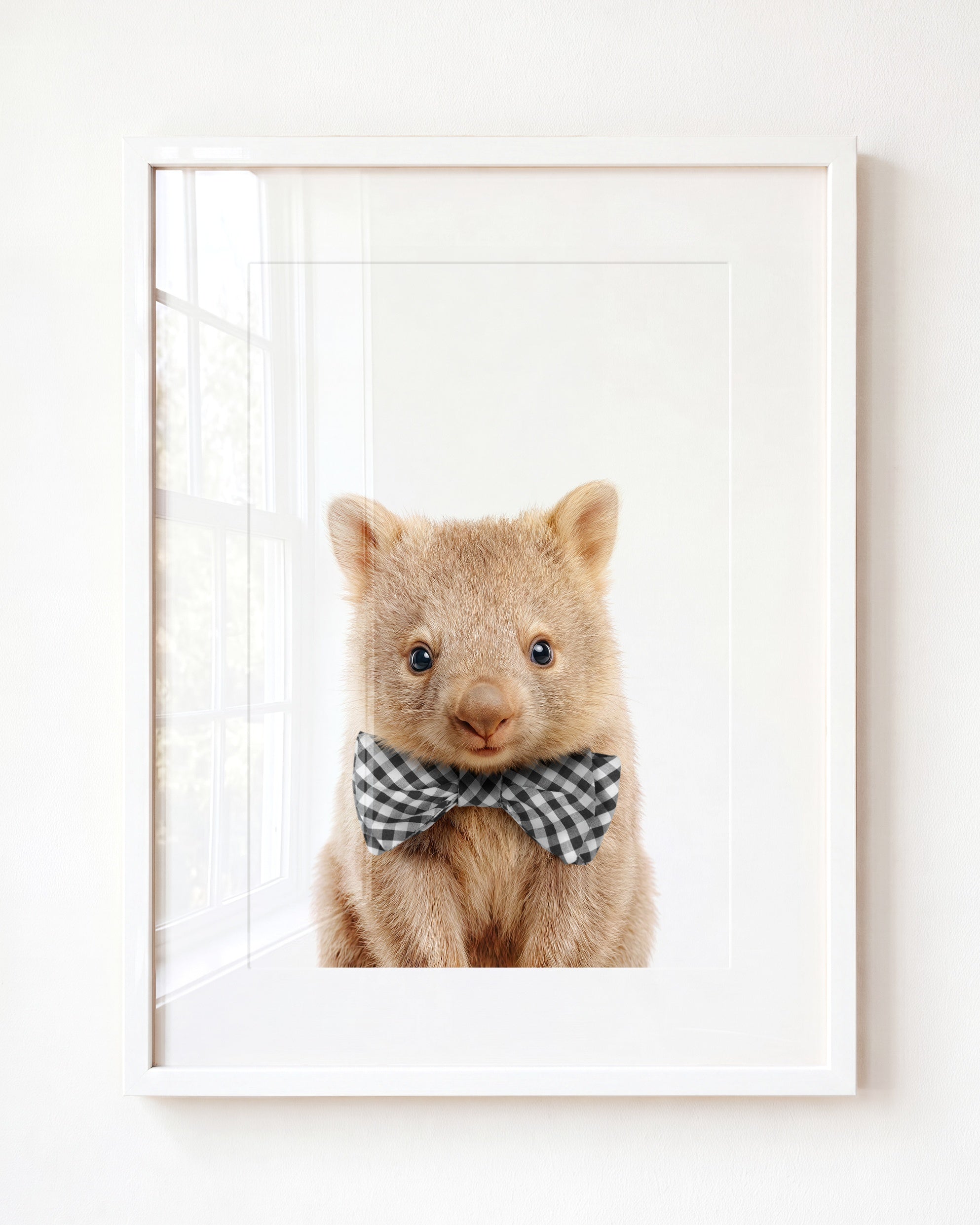 Baby Wombat