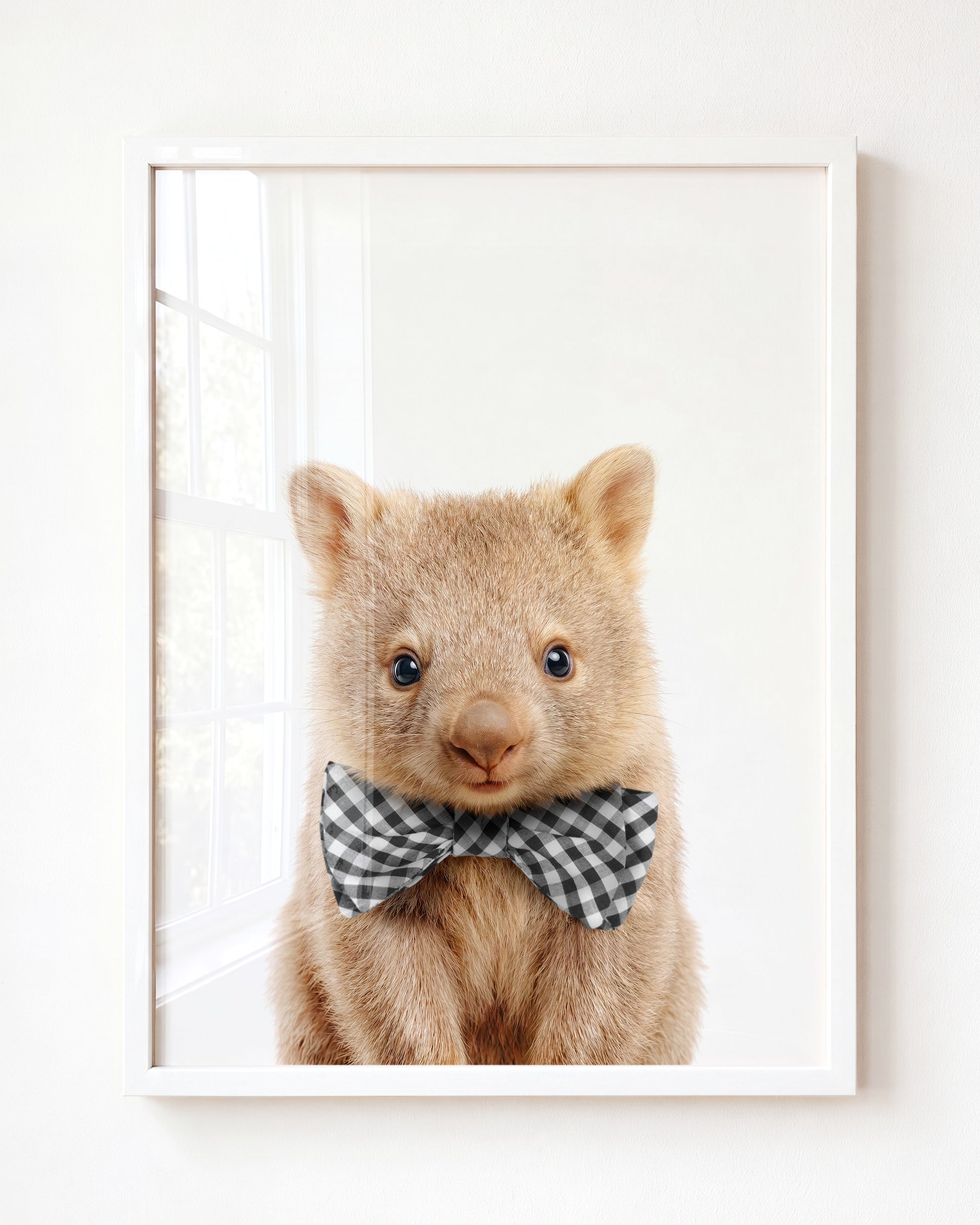 Baby Wombat