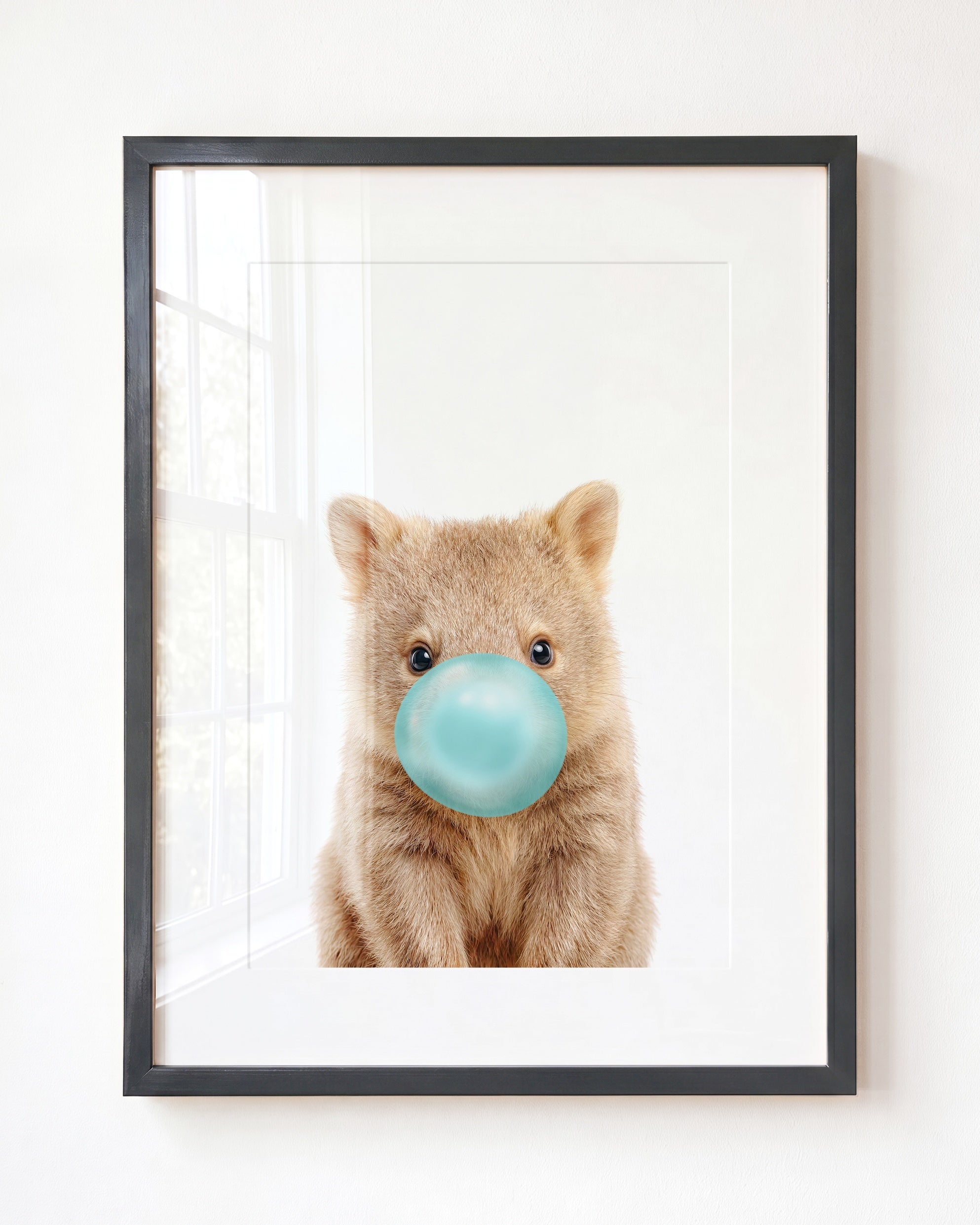 Baby Wombat