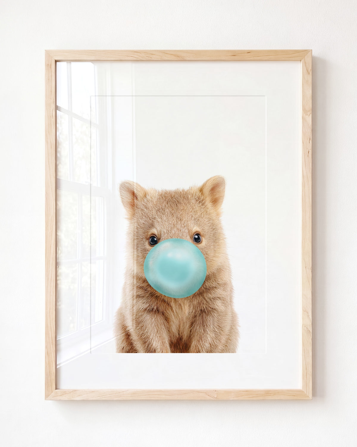 Baby Wombat