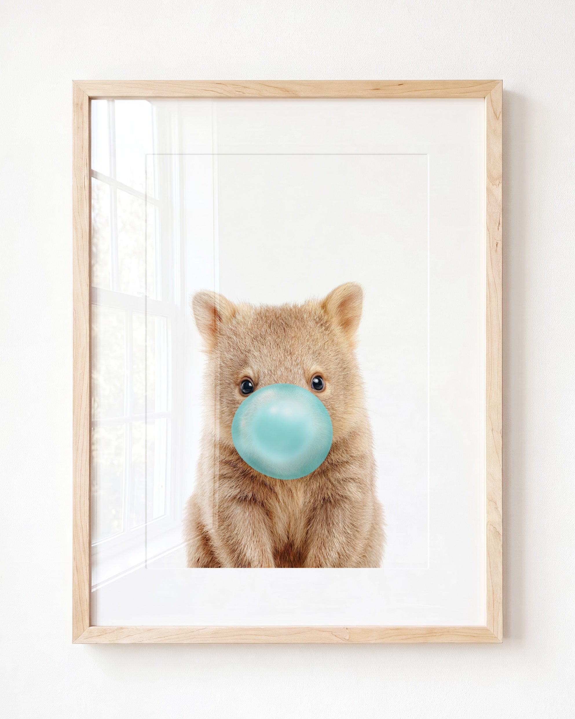 Baby Wombat