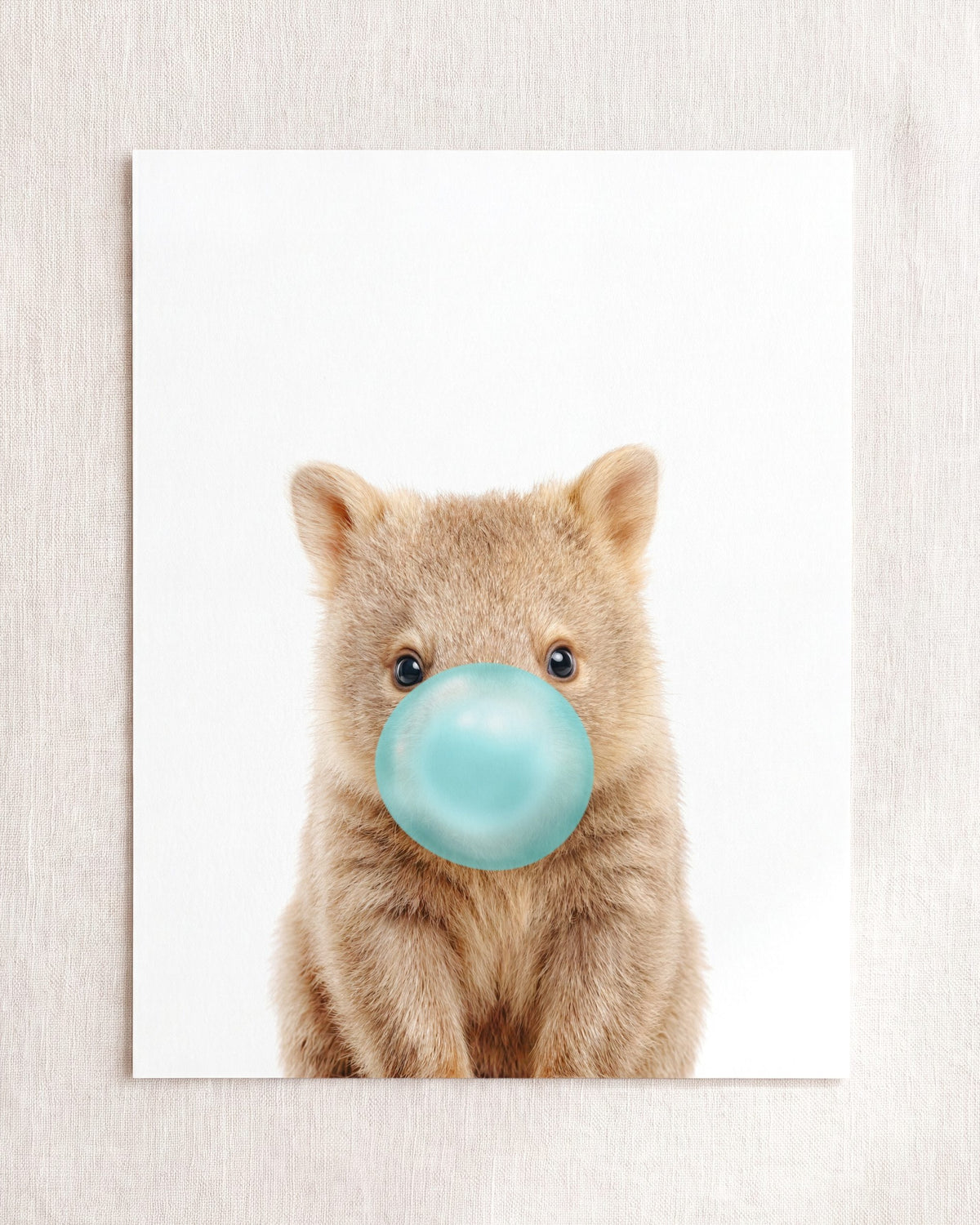 Baby Wombat