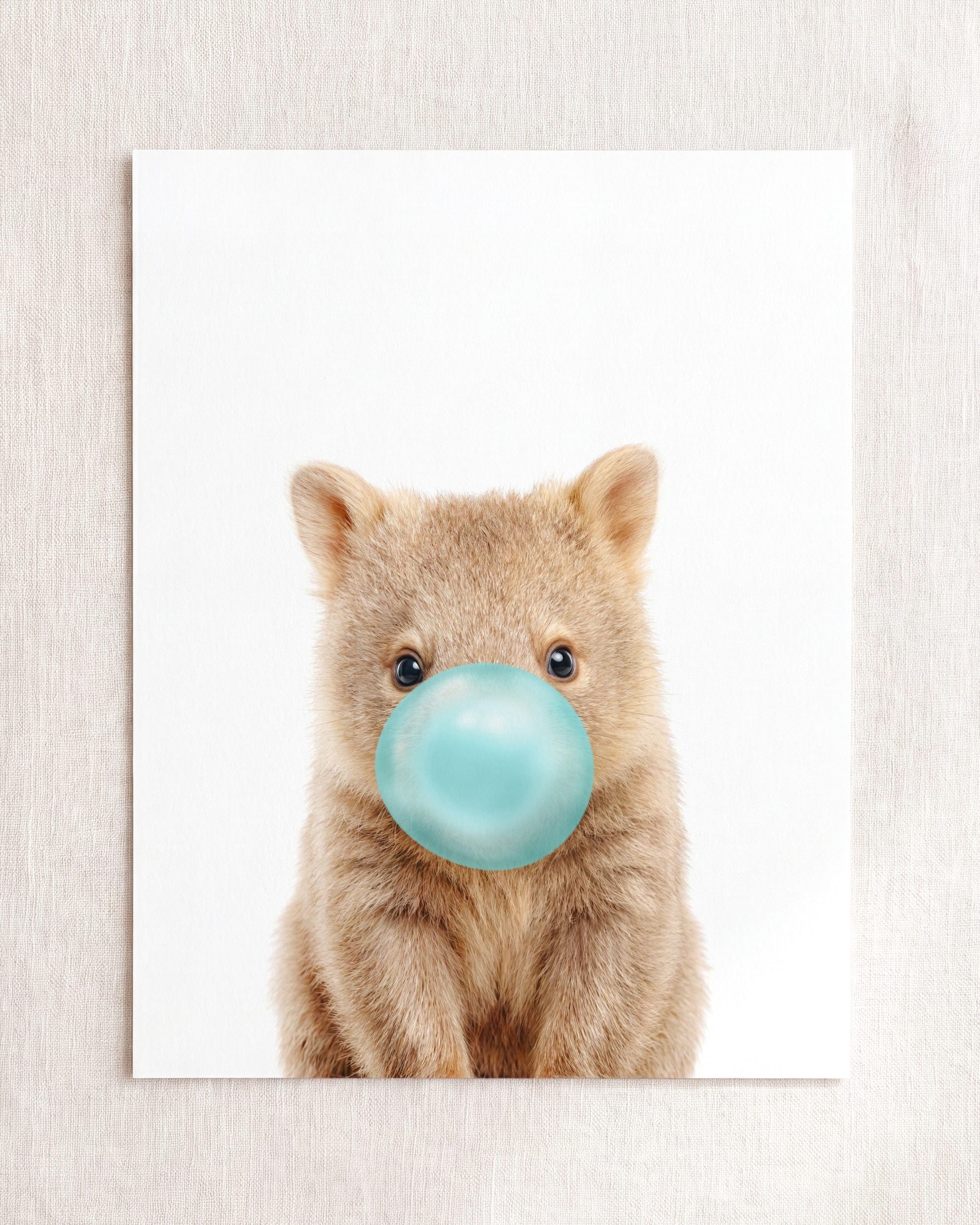 Baby Wombat