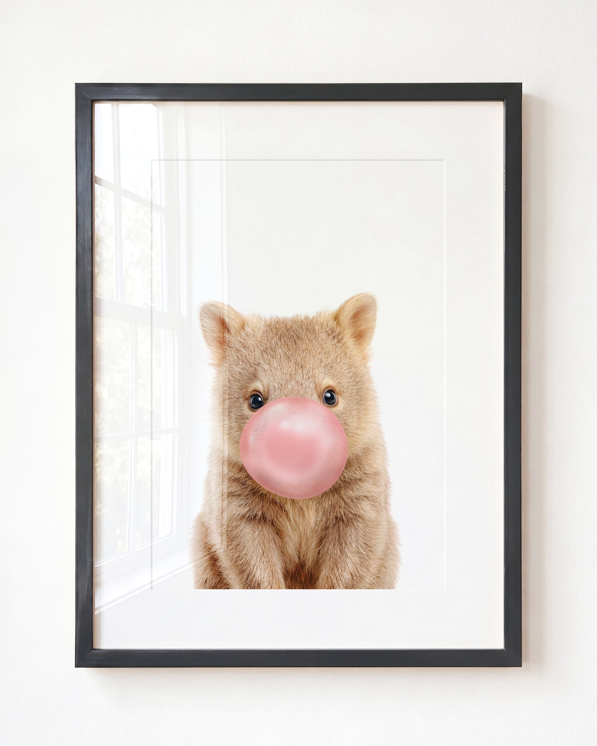 Baby Wombat