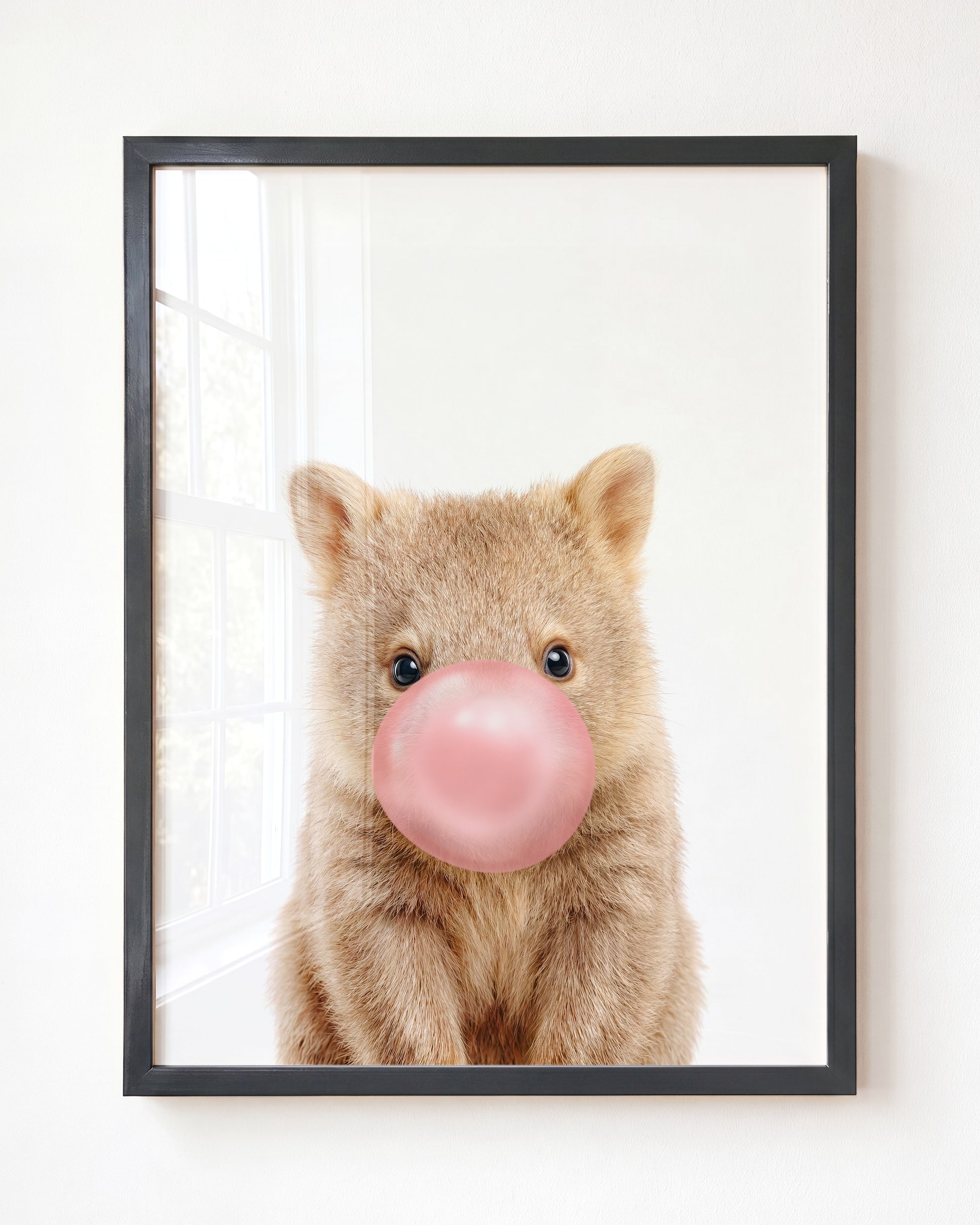 Baby Wombat