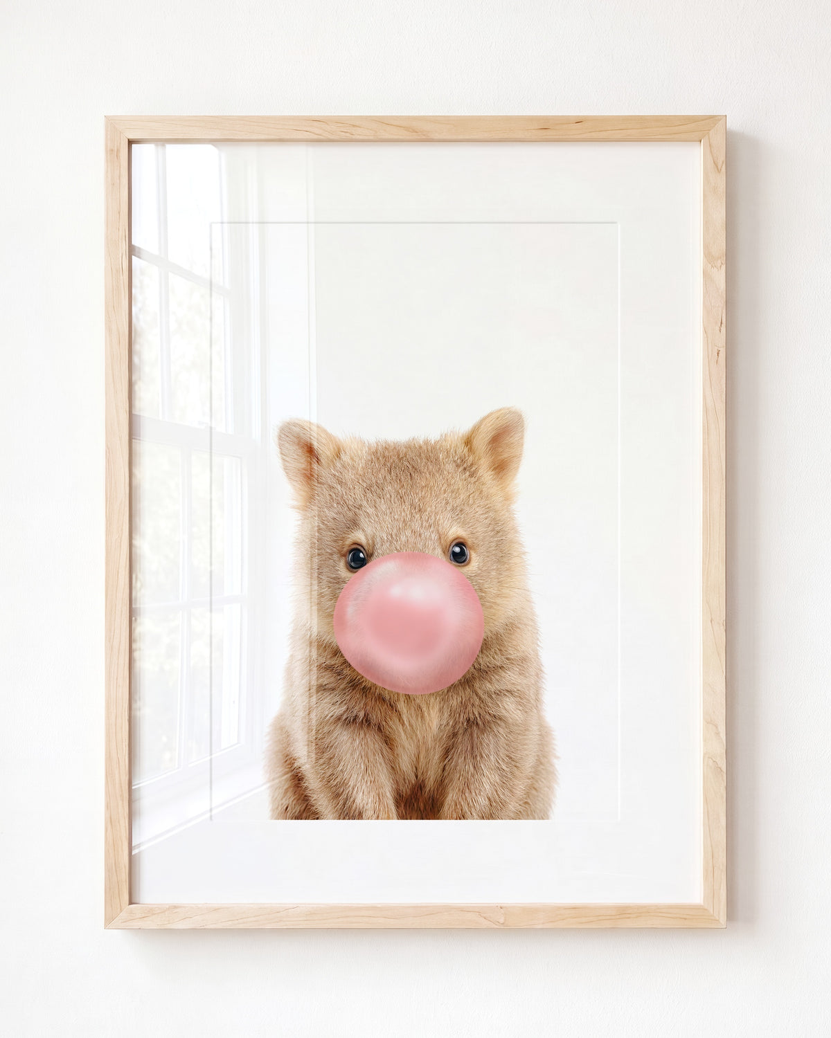 Baby Wombat