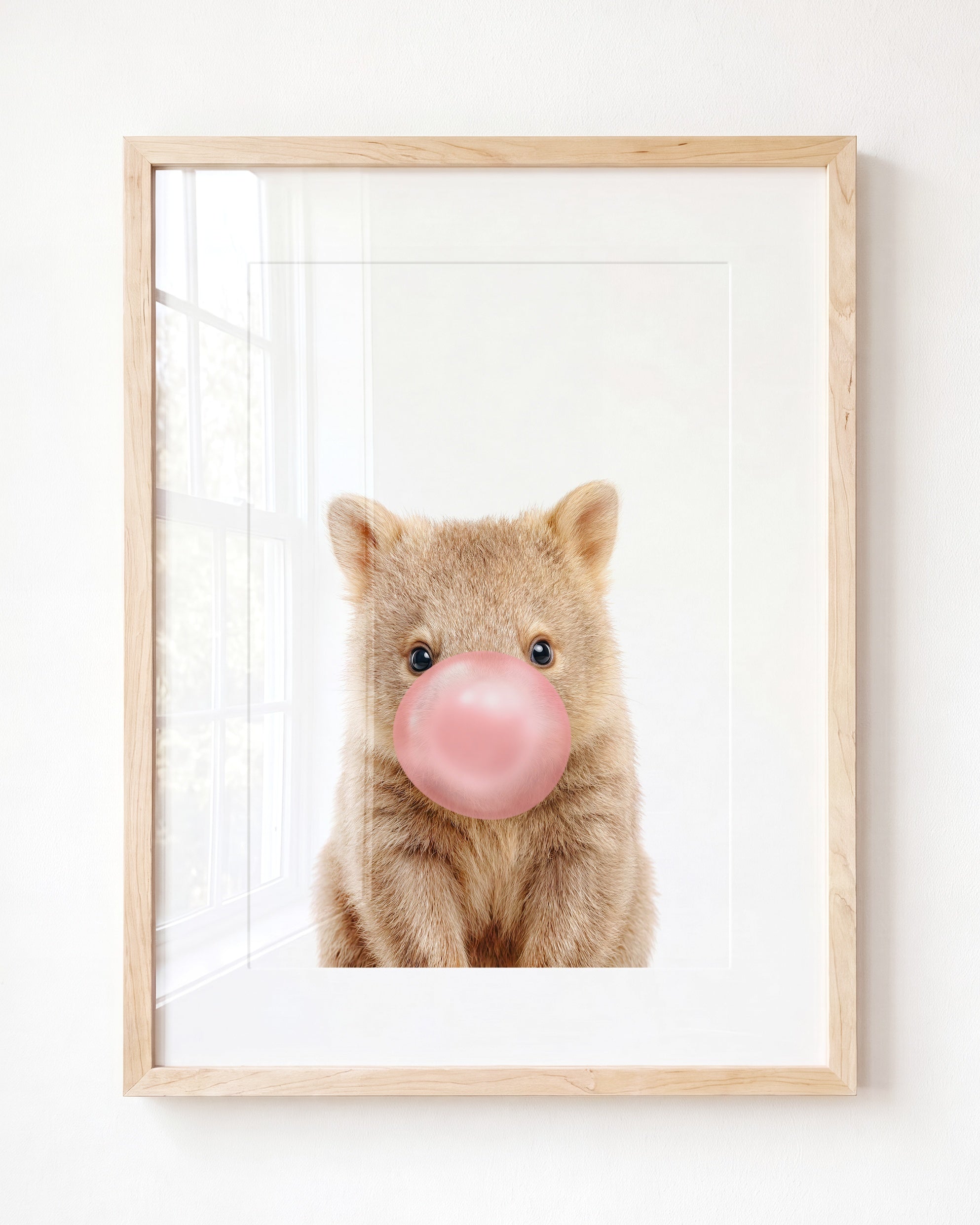 Baby Wombat