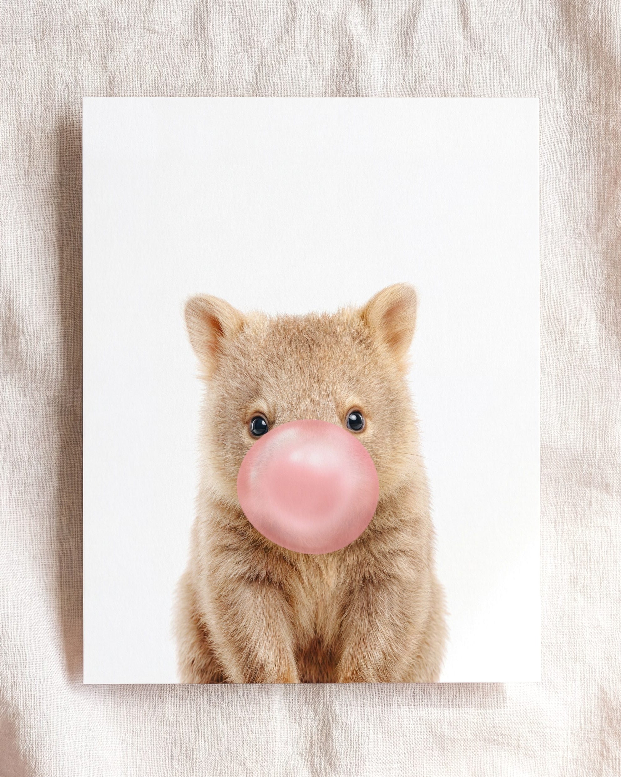 Baby Wombat
