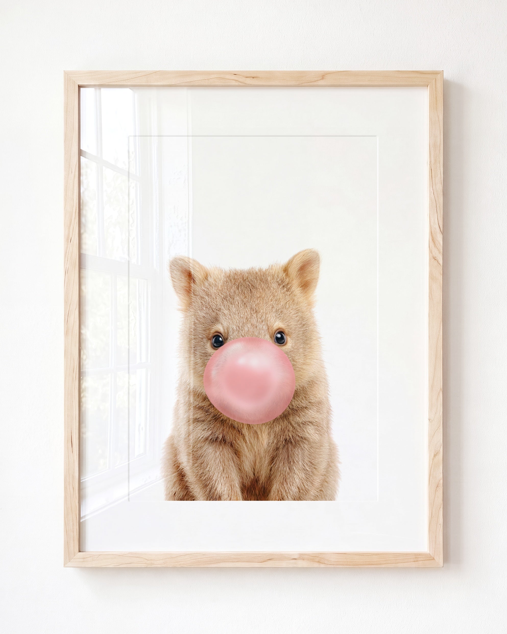 Baby Wombat