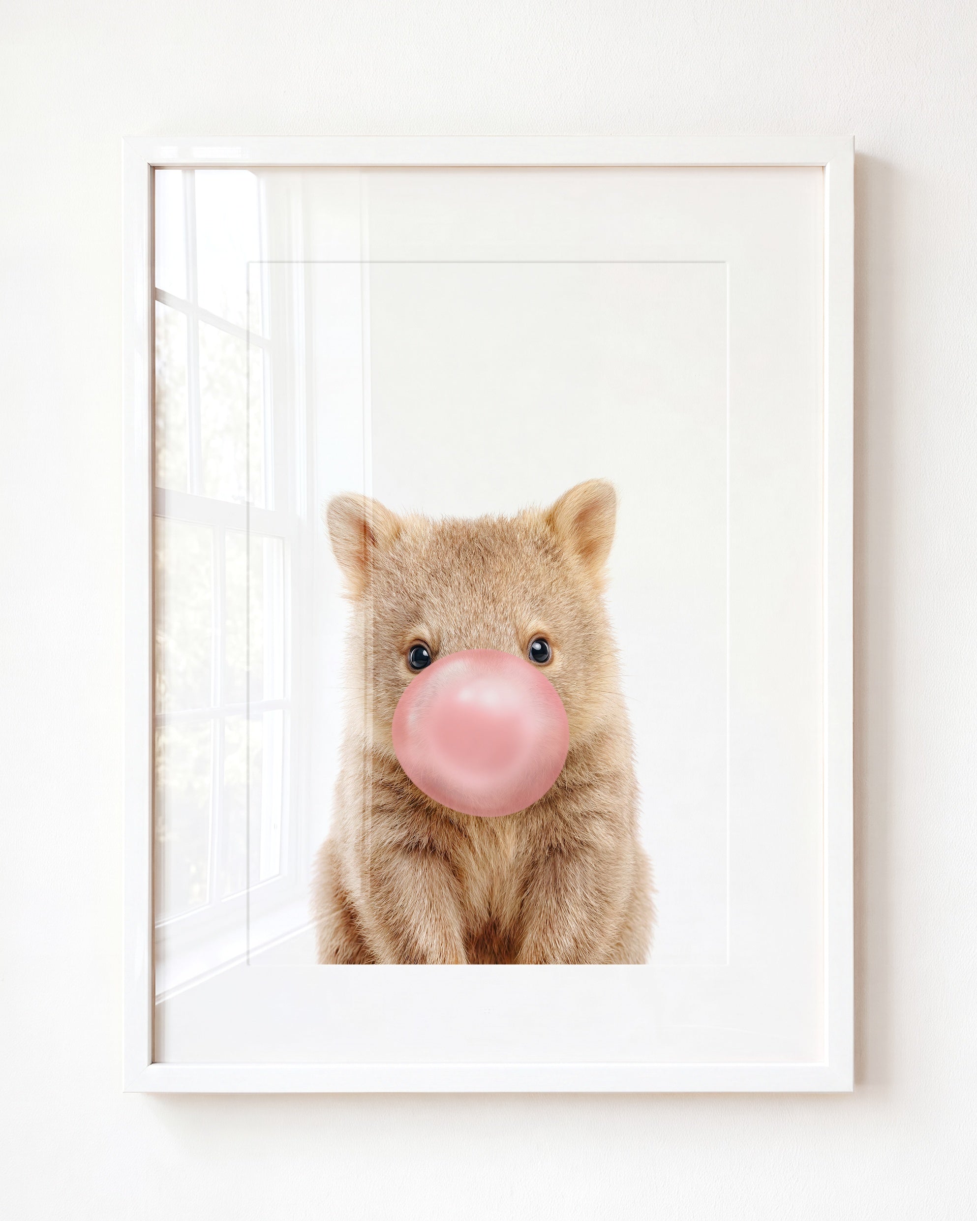 Baby Wombat