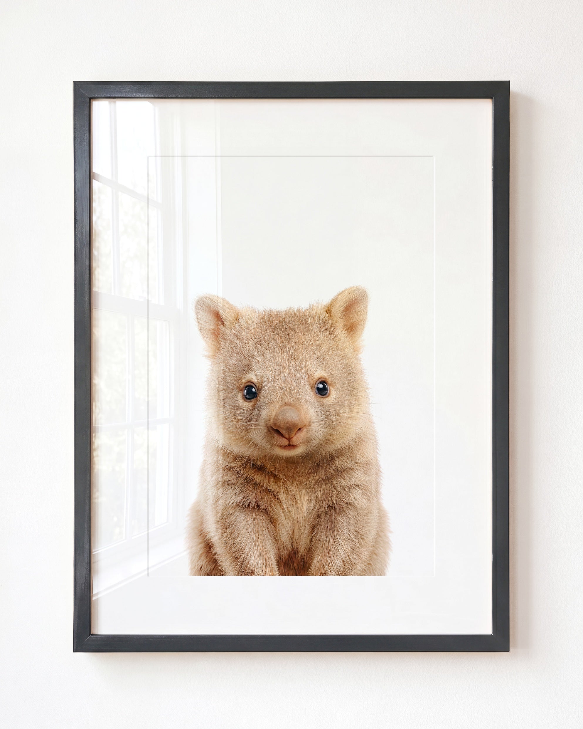 Baby Wombat