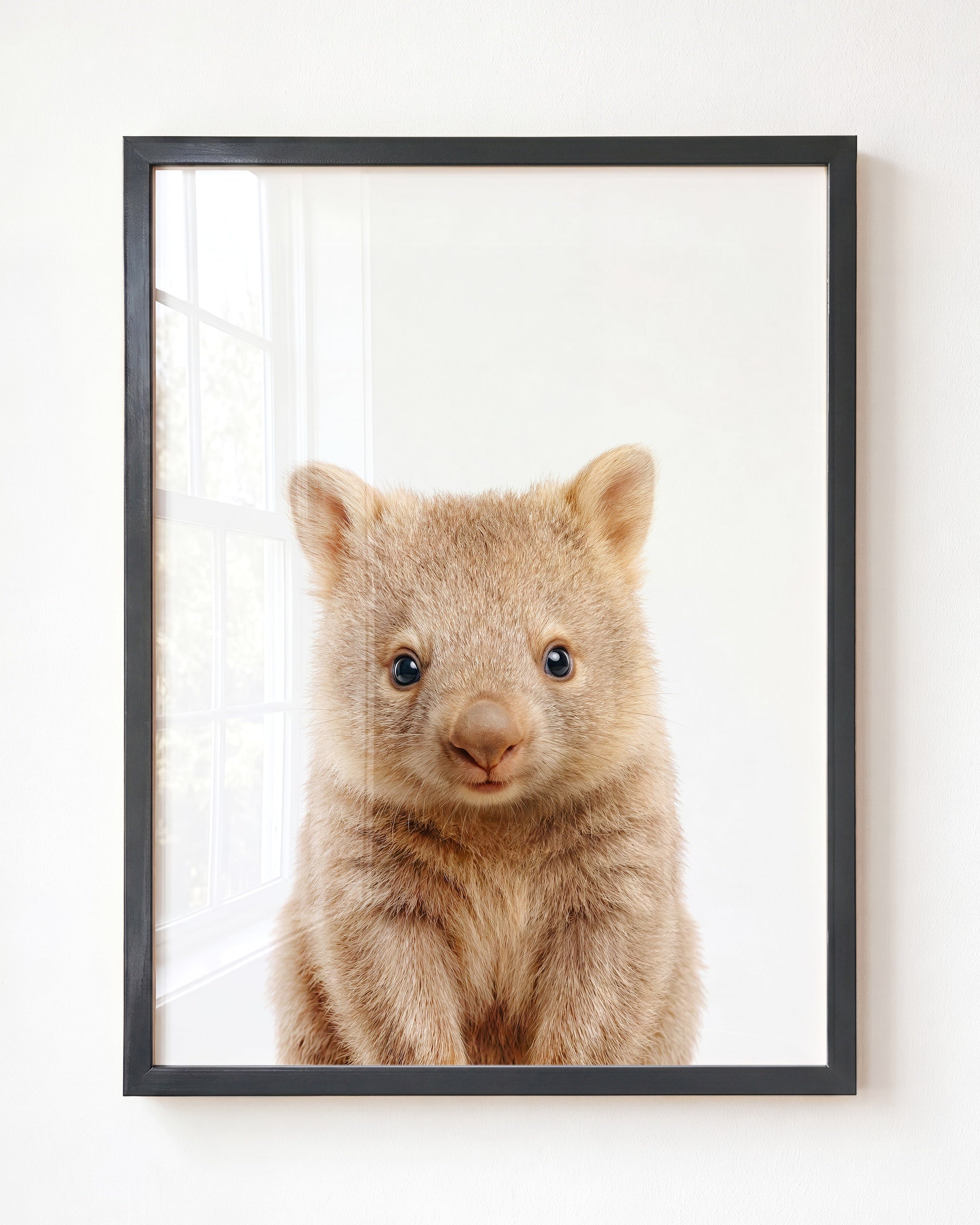 Baby Wombat