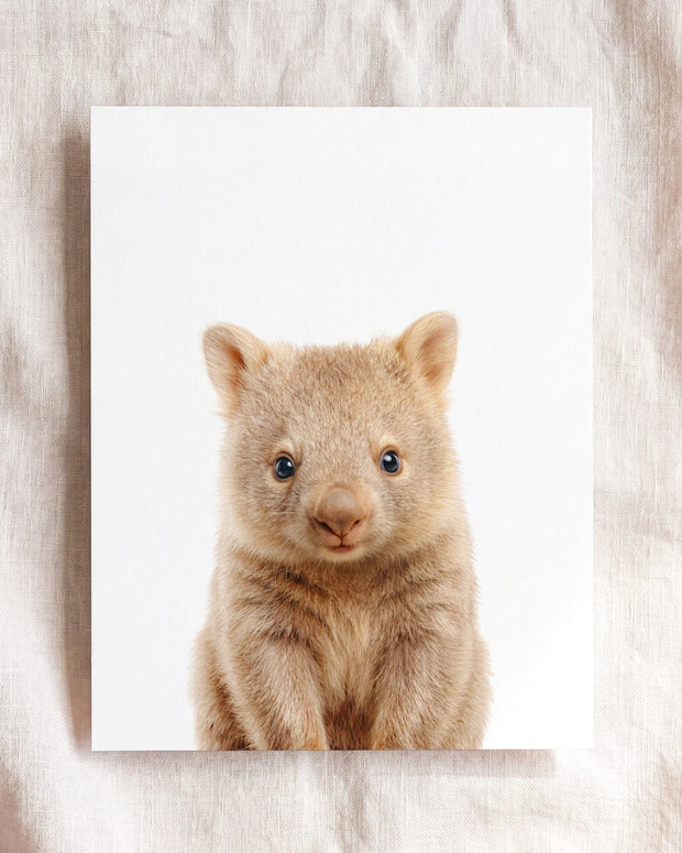 Baby Wombat