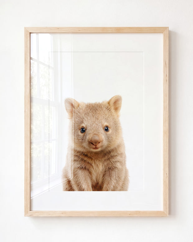 Baby Wombat